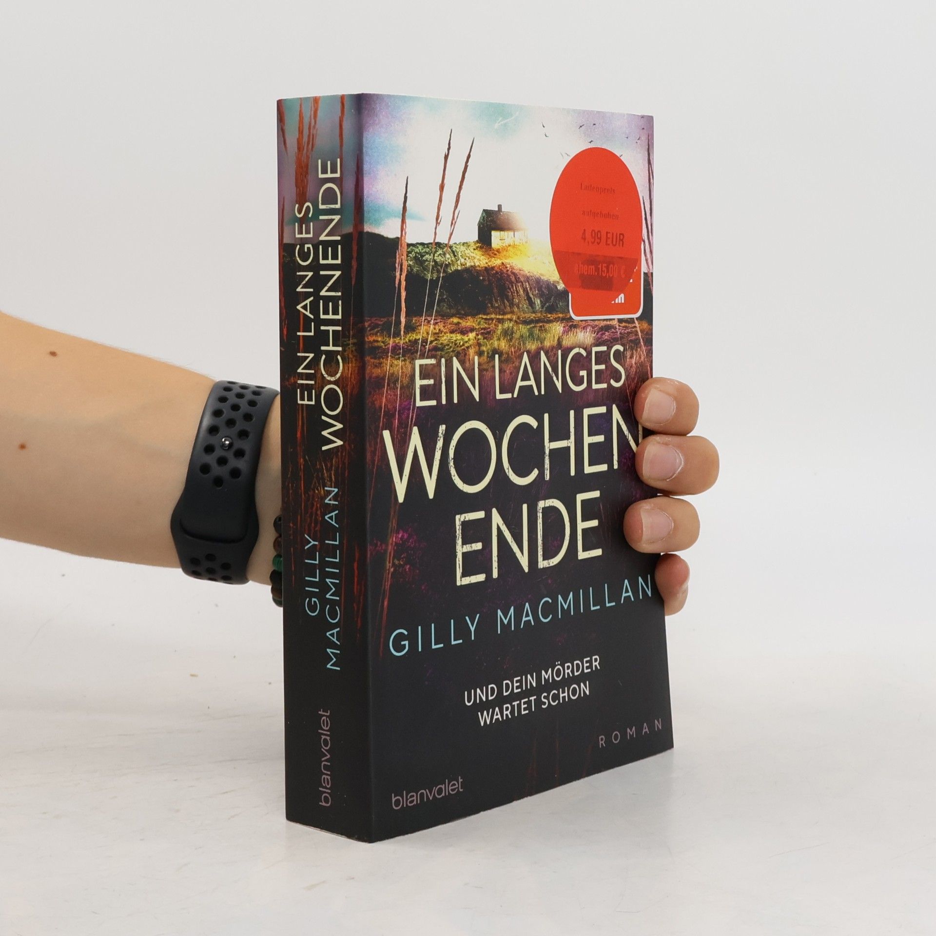 Gilly Macmillan Ein langes Wochenende