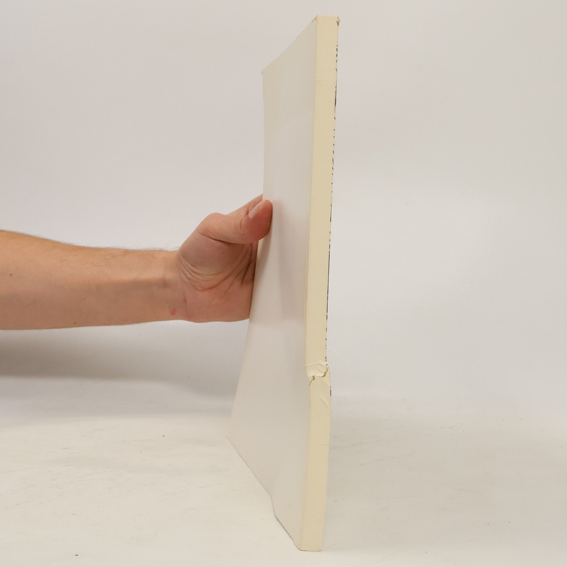 Kolektiv autorů Advanced Structures around the World