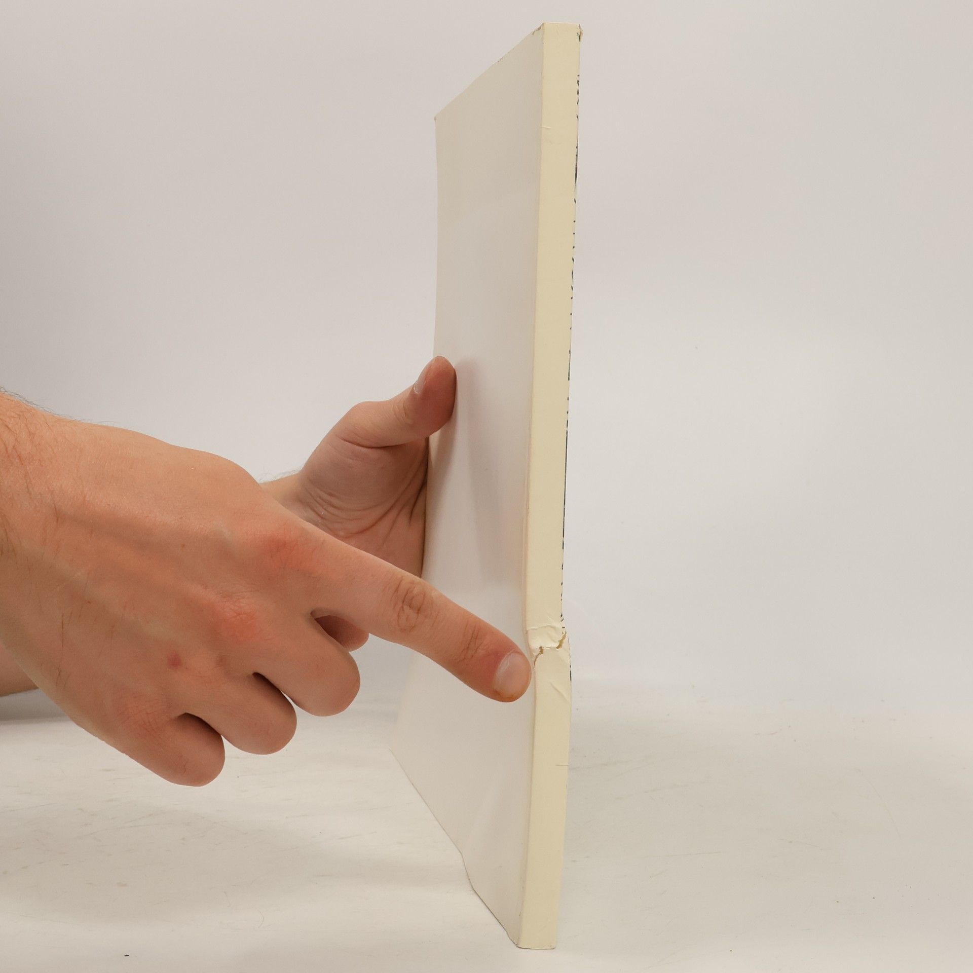 Kolektiv autorů Advanced Structures around the World