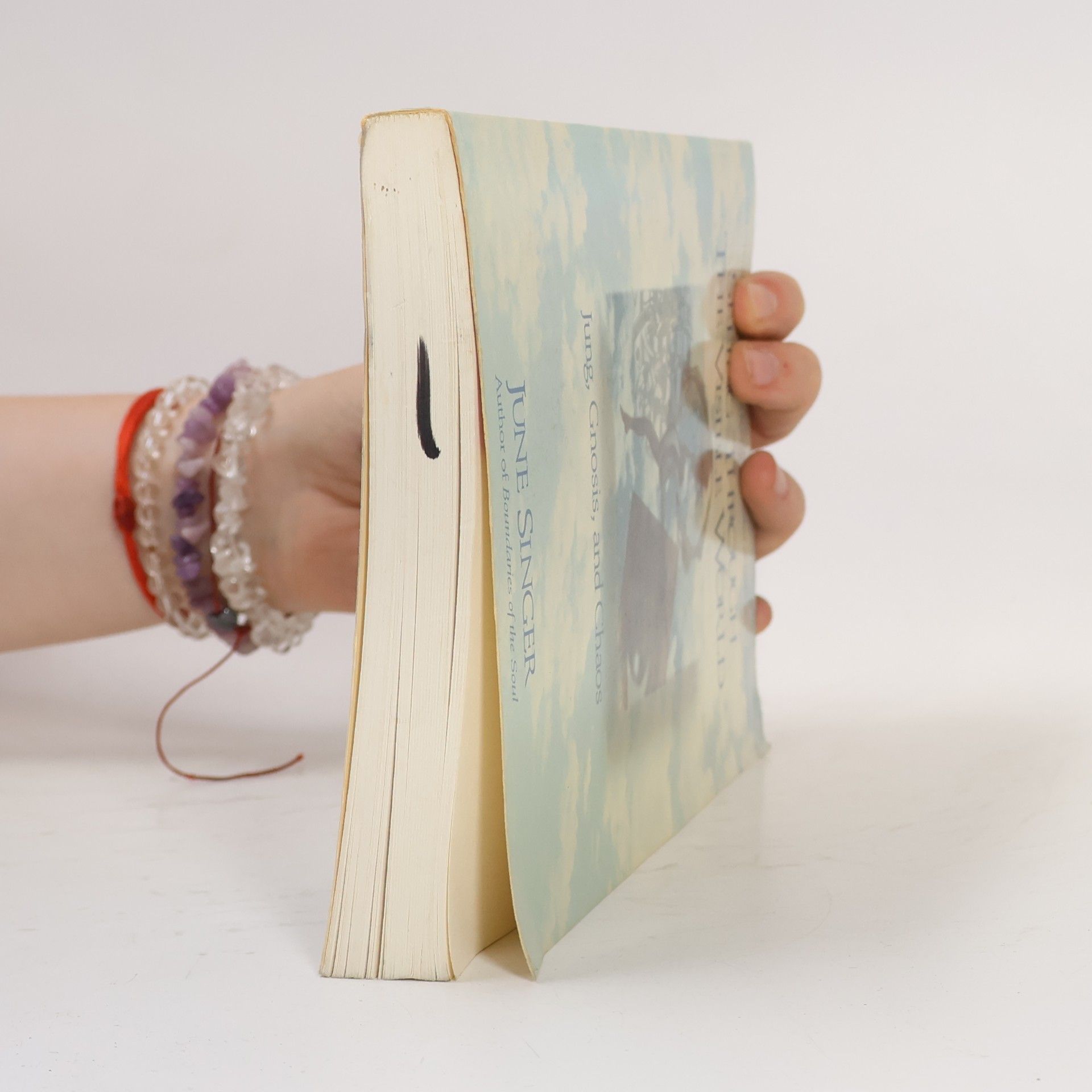 June K. Singer Seeing Through the Visible World