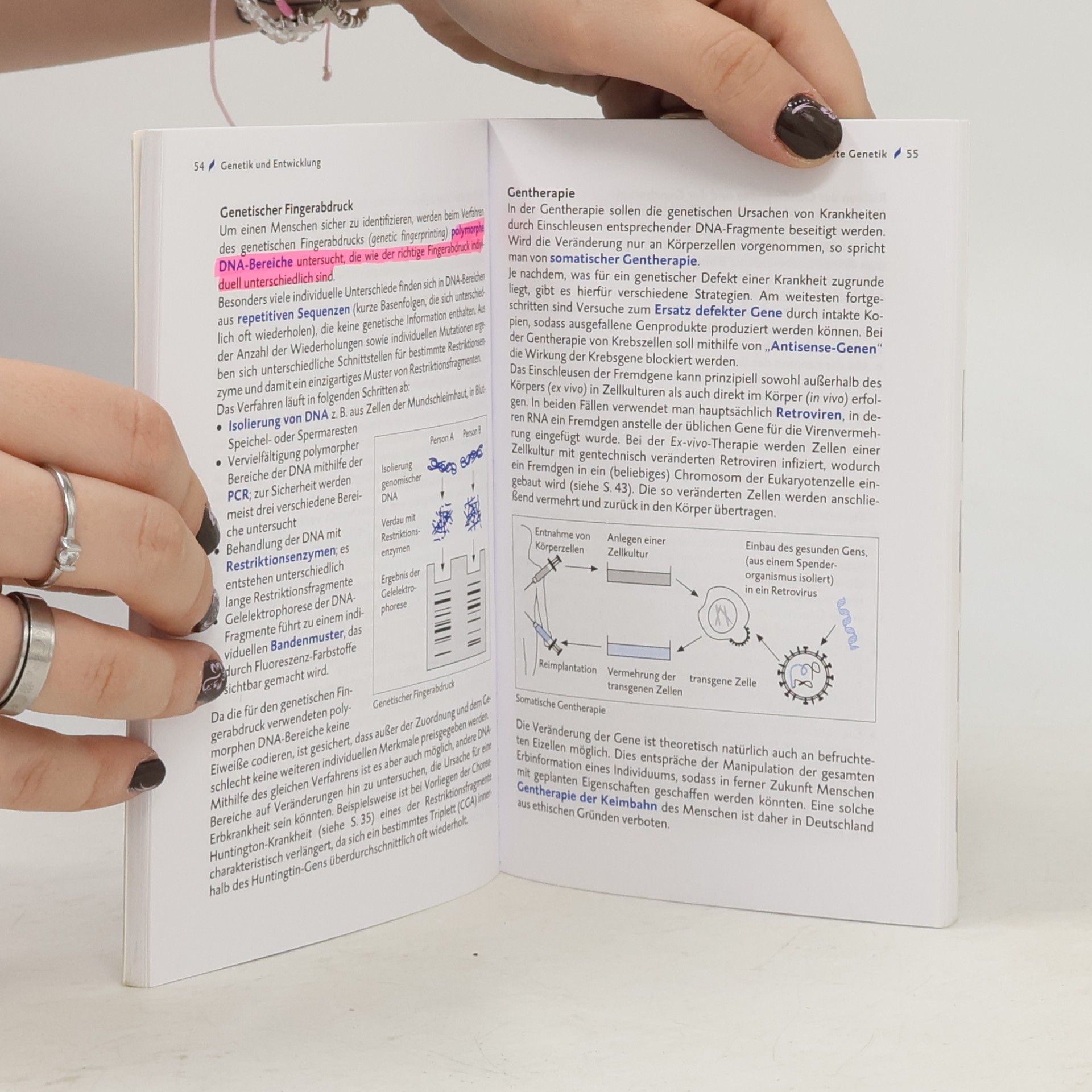 Hans-Dieter Triebel Genetik und Entwicklung, Immunbiologie, Evolution, Verhalten