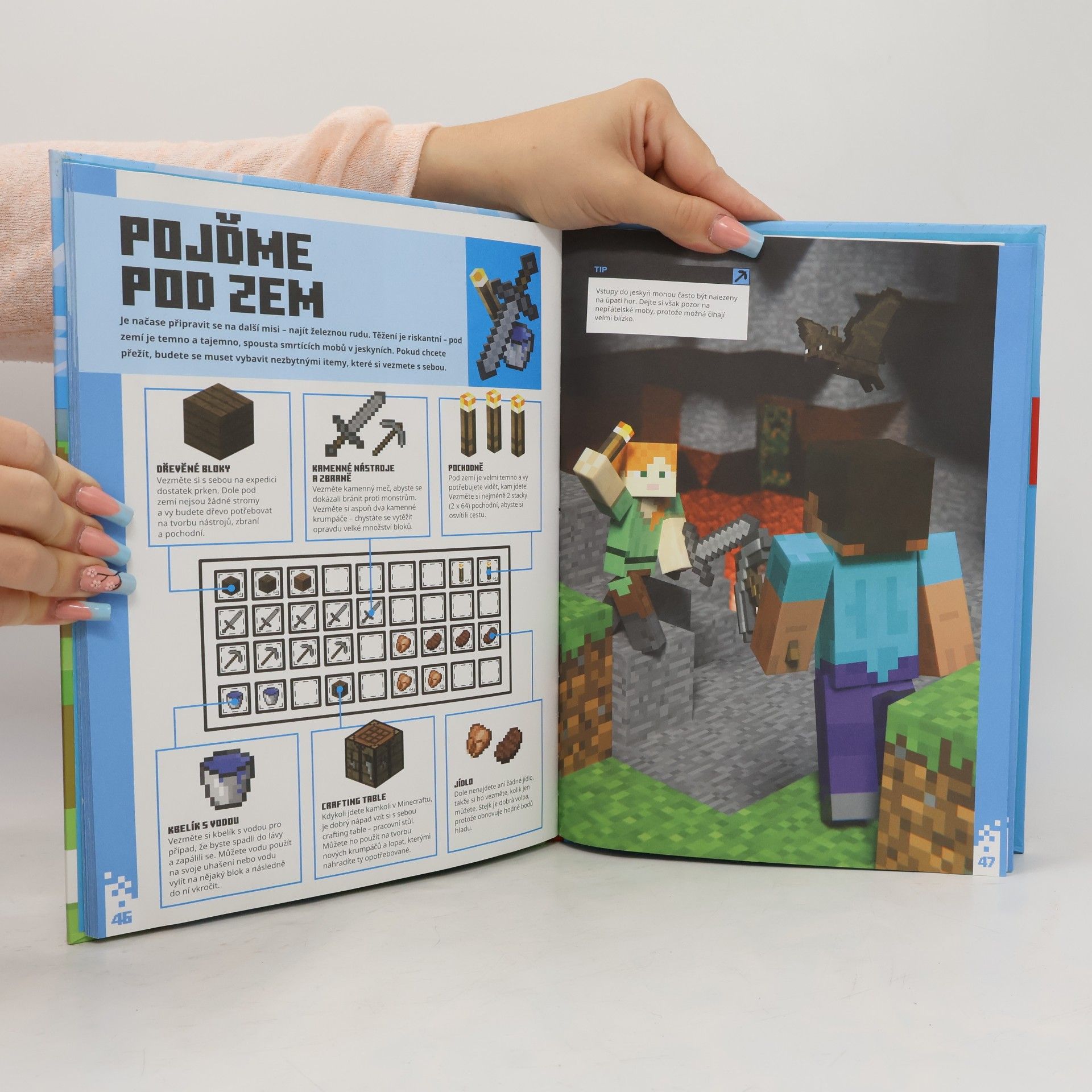 Stephanie Milton Minecraft - začínáme hrát