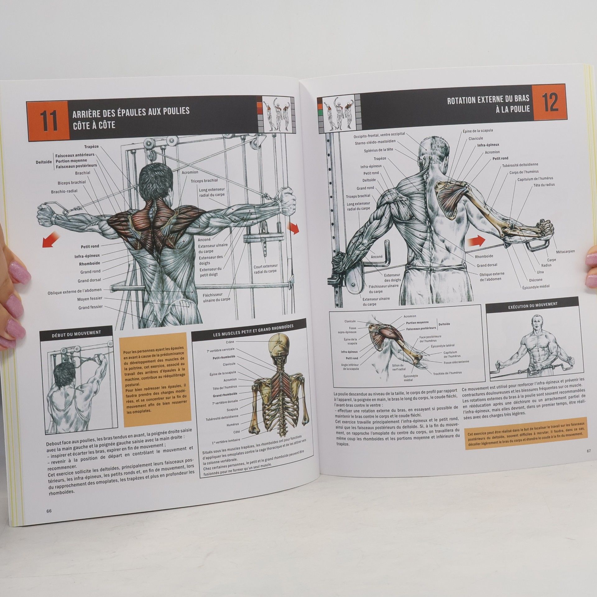 Frédéric Delavier Guide des mouvements de musculation