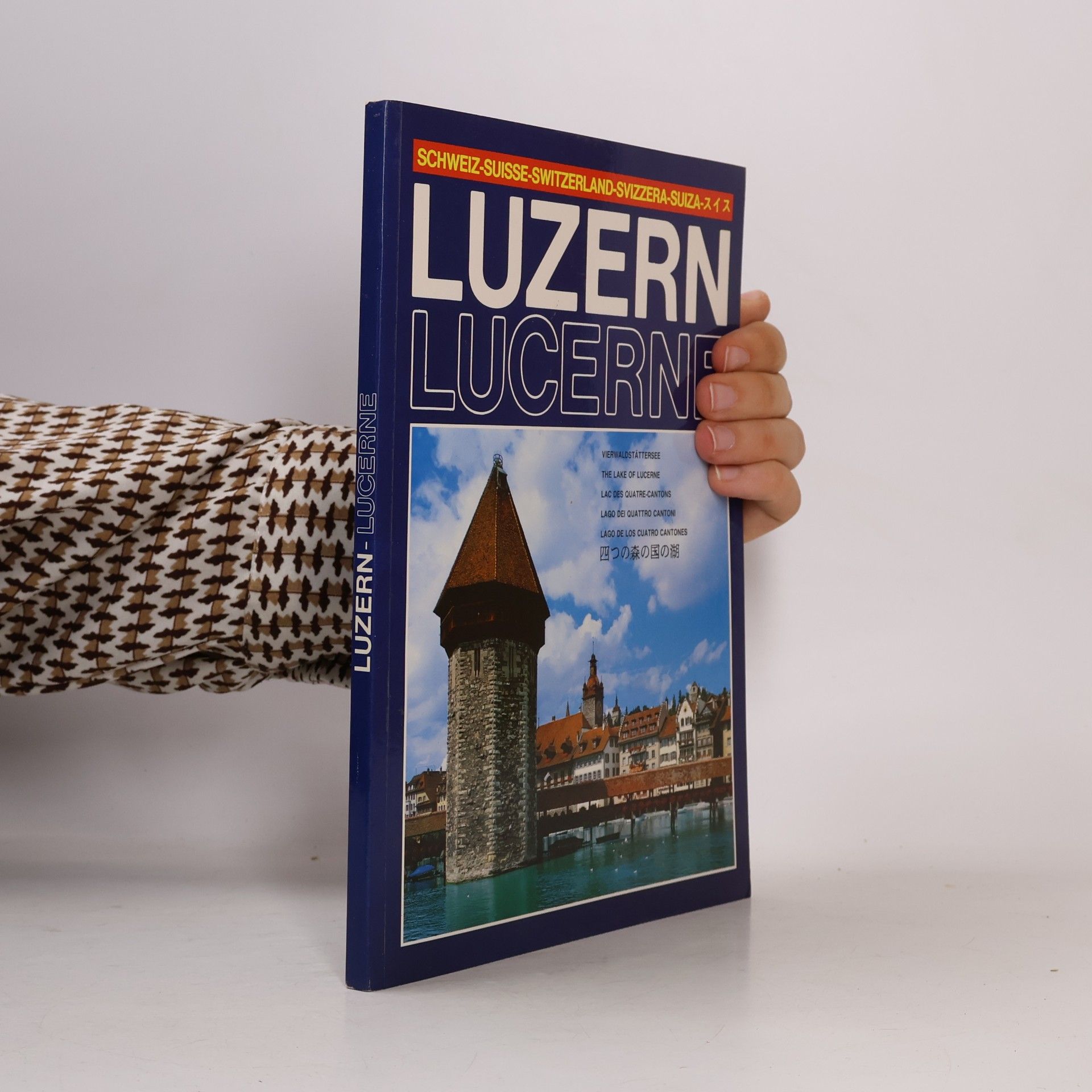 Dino Sassi Luzern