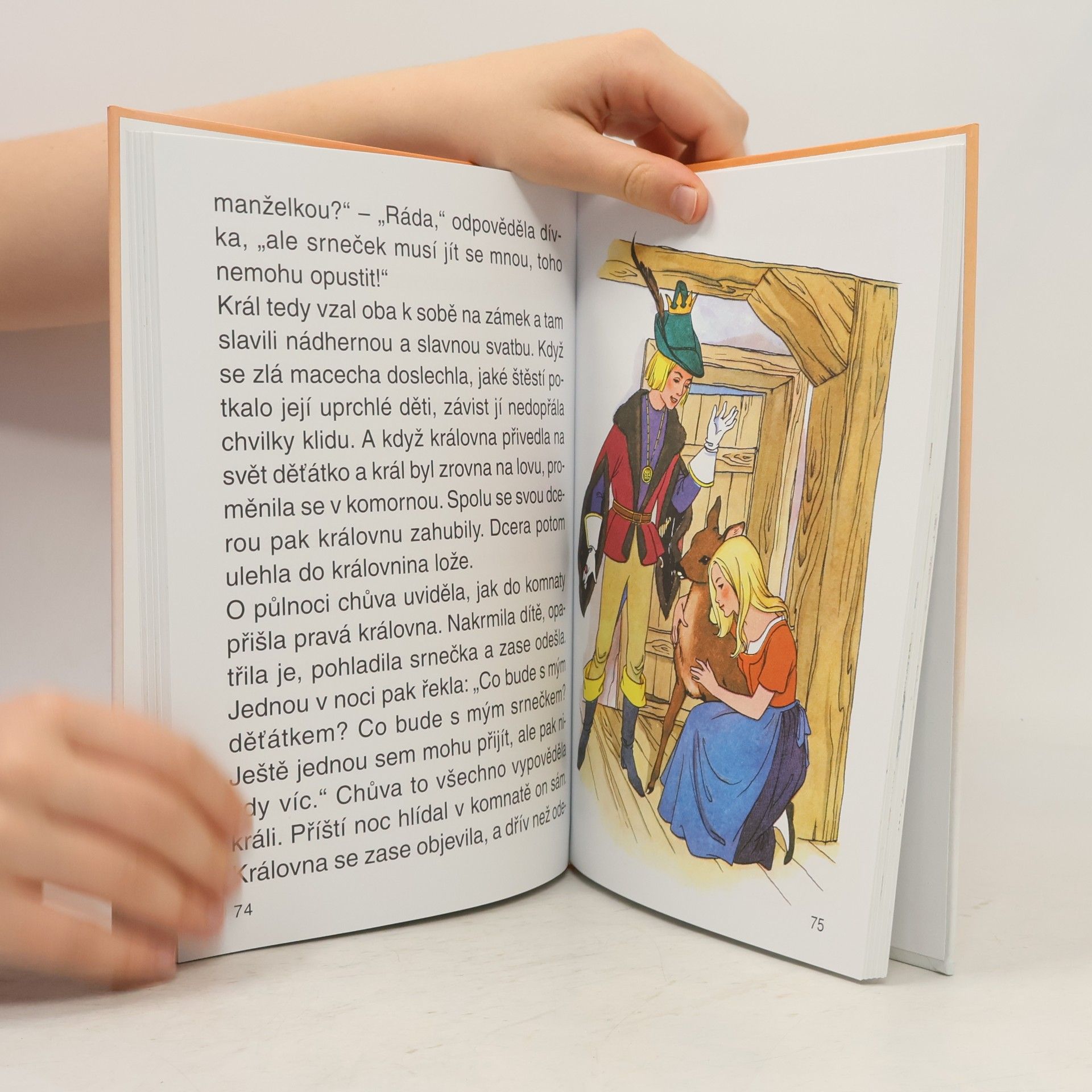 Jacob Grimm Nejkrásnější pohádky bratří Grimmů