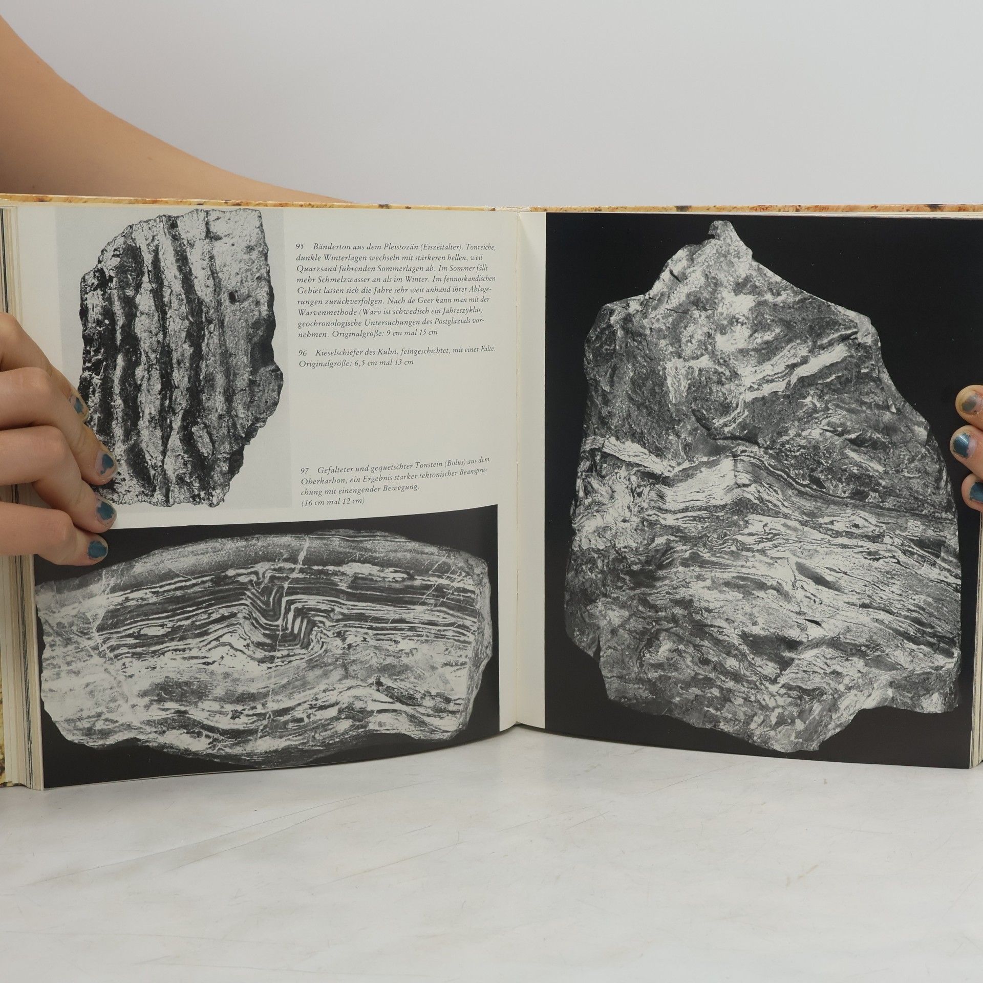 Collectif d'auteurs Erlebnis Geologie
