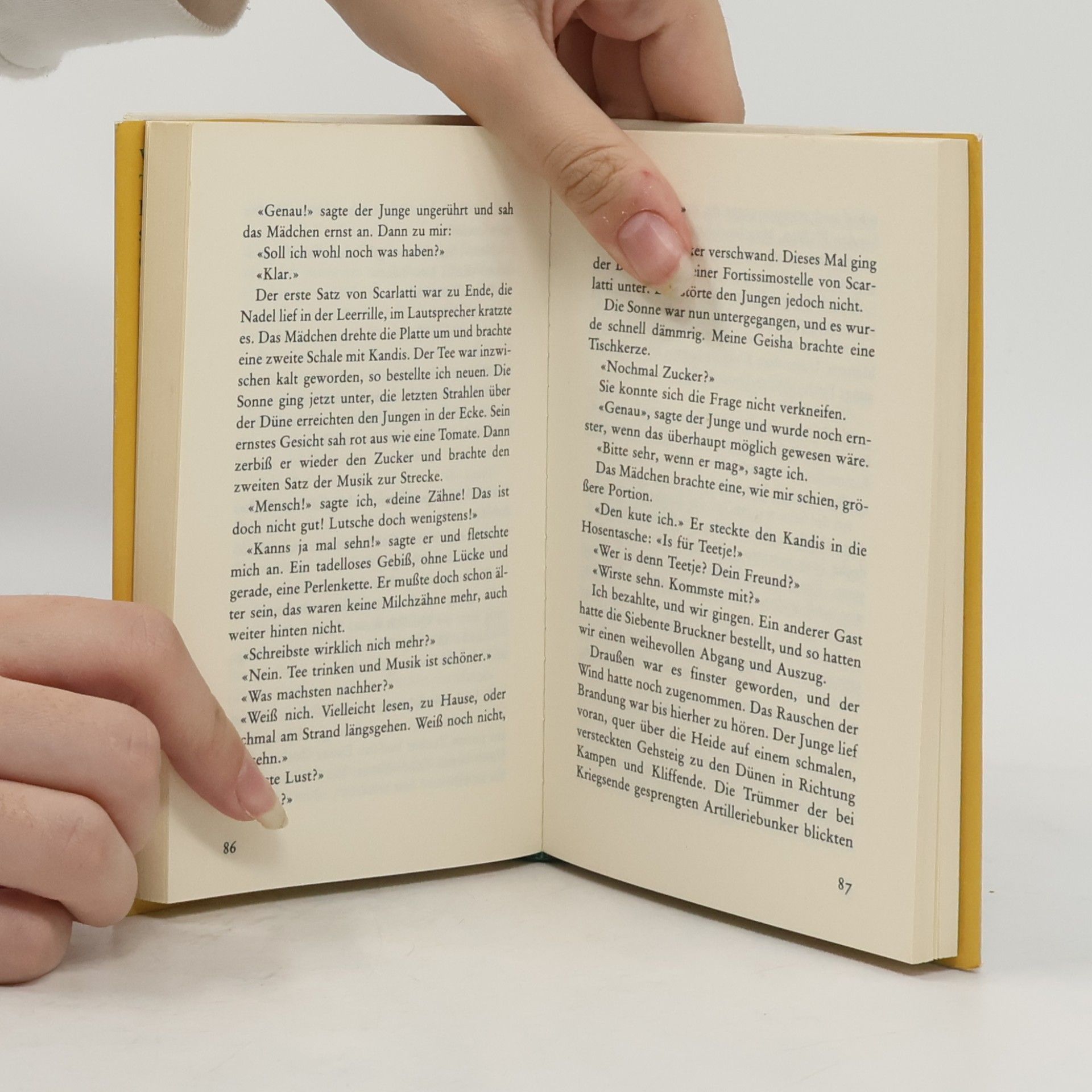 Autorenkollektiv Kleine Bettlektüre für leidenschaftliche Teetrinker