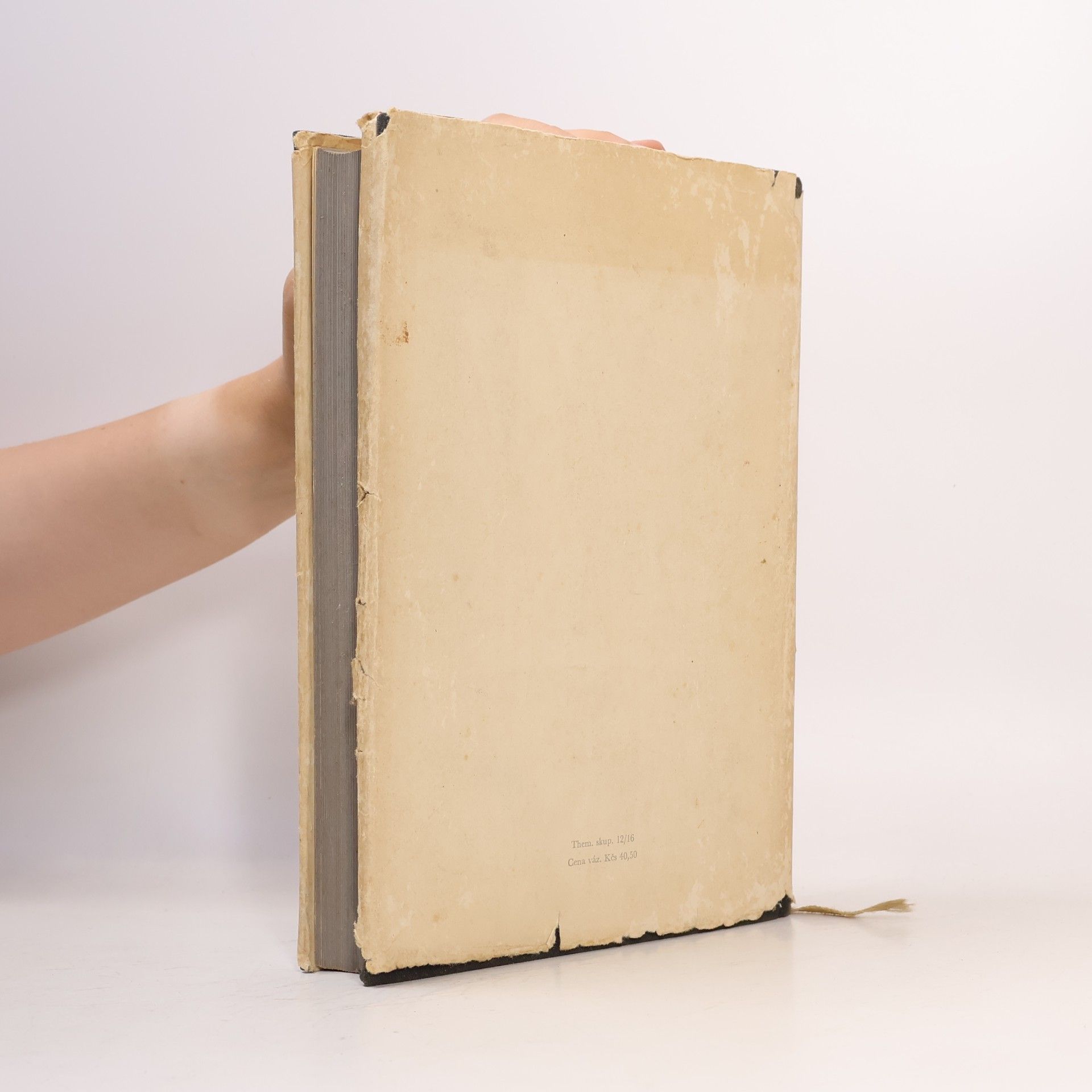 Josef Hrabák Dějiny české literatury I