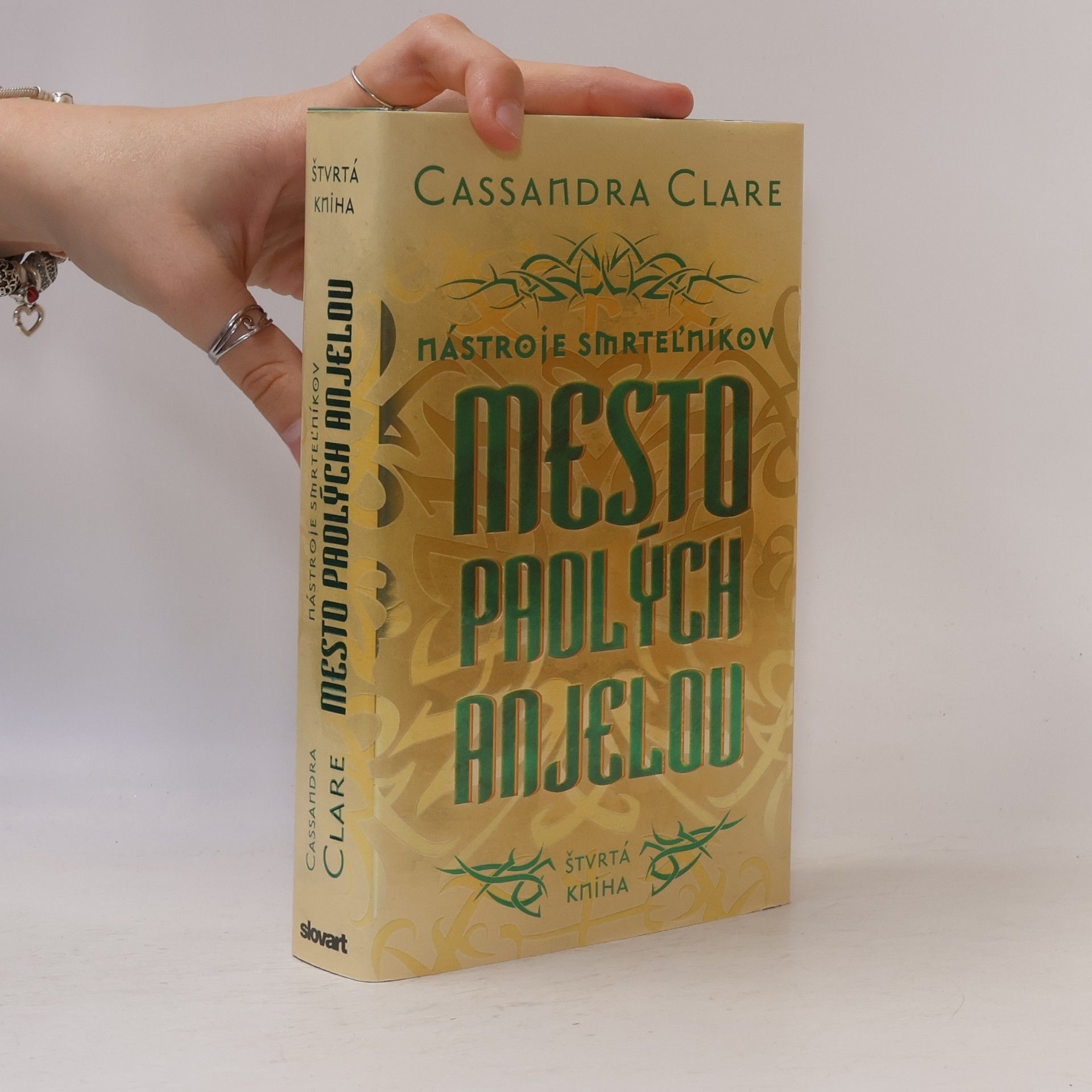 Cassandra Clare Mesto padlých anjelov