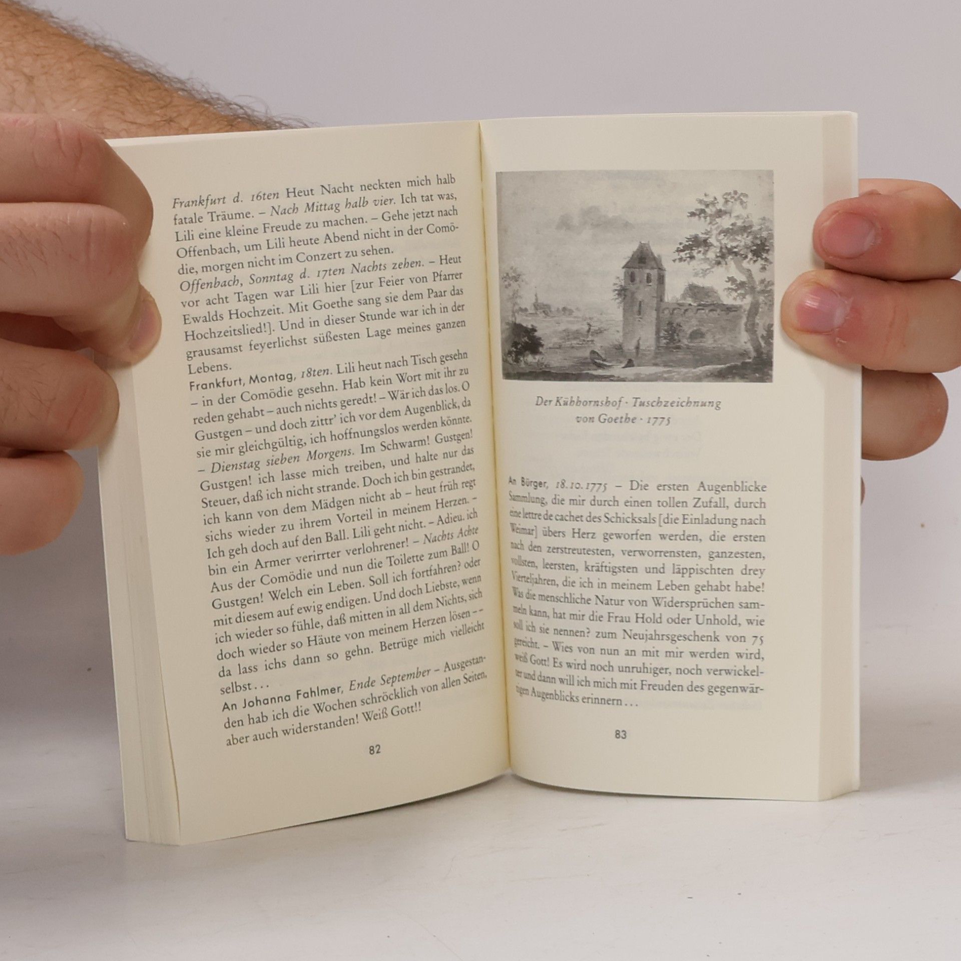 Autores varios Mit Goethe durch das Jahr