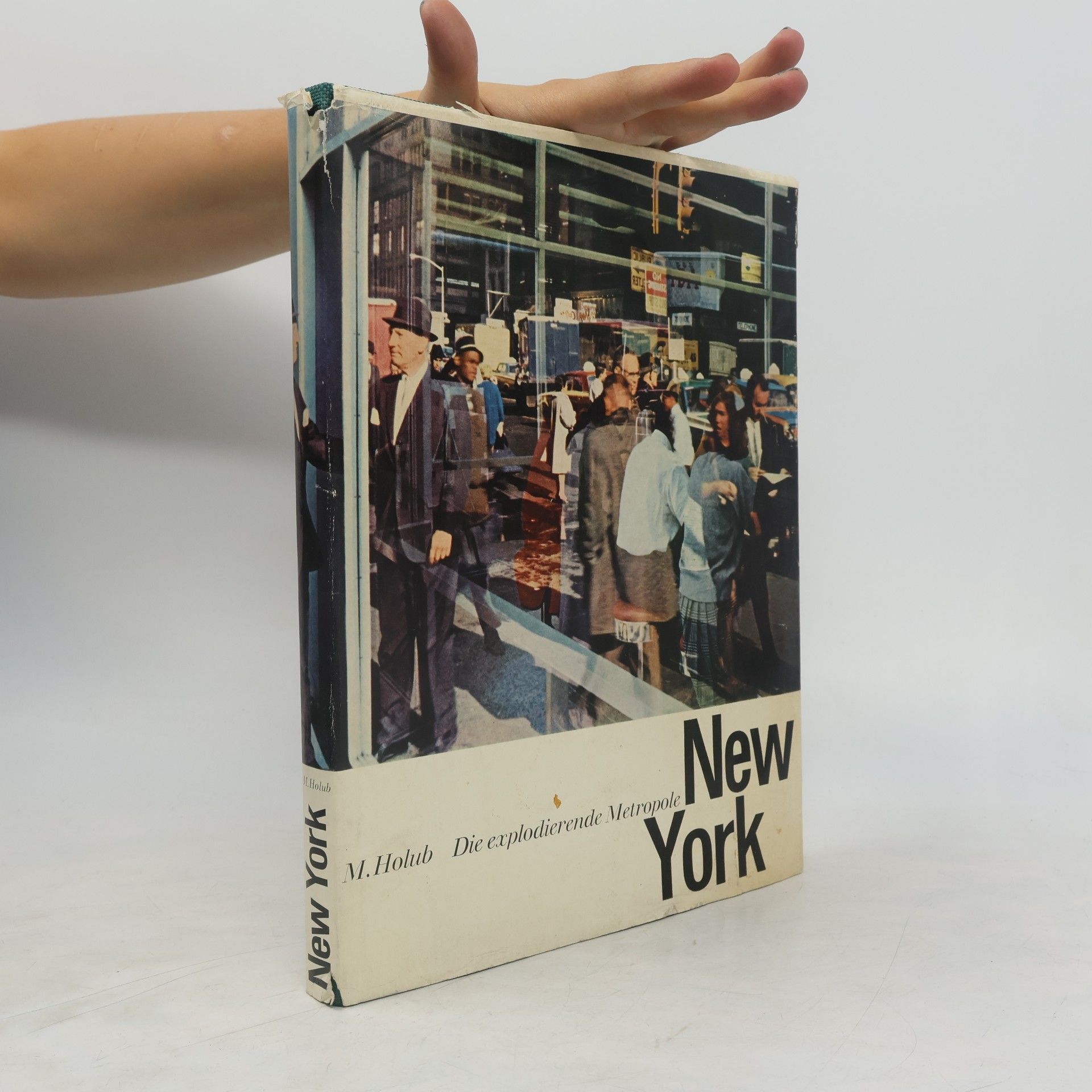 Miroslav Holub Die explodierende Metropole New York