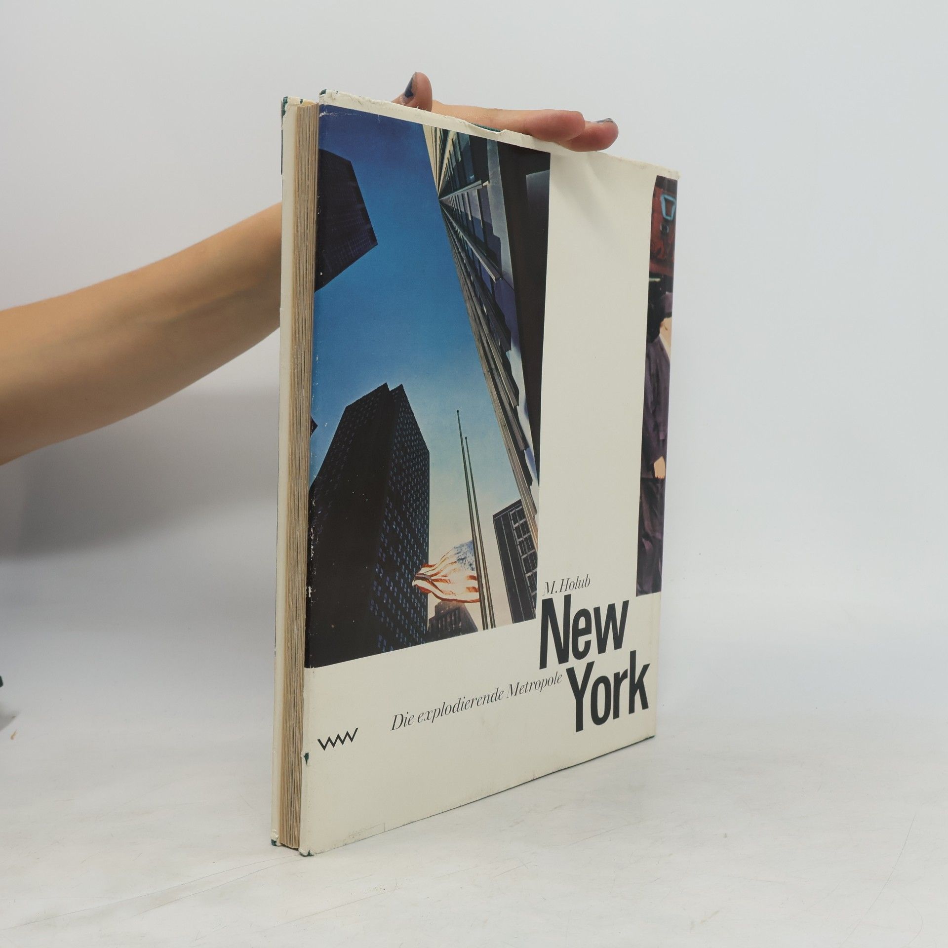 Miroslav Holub Die explodierende Metropole New York