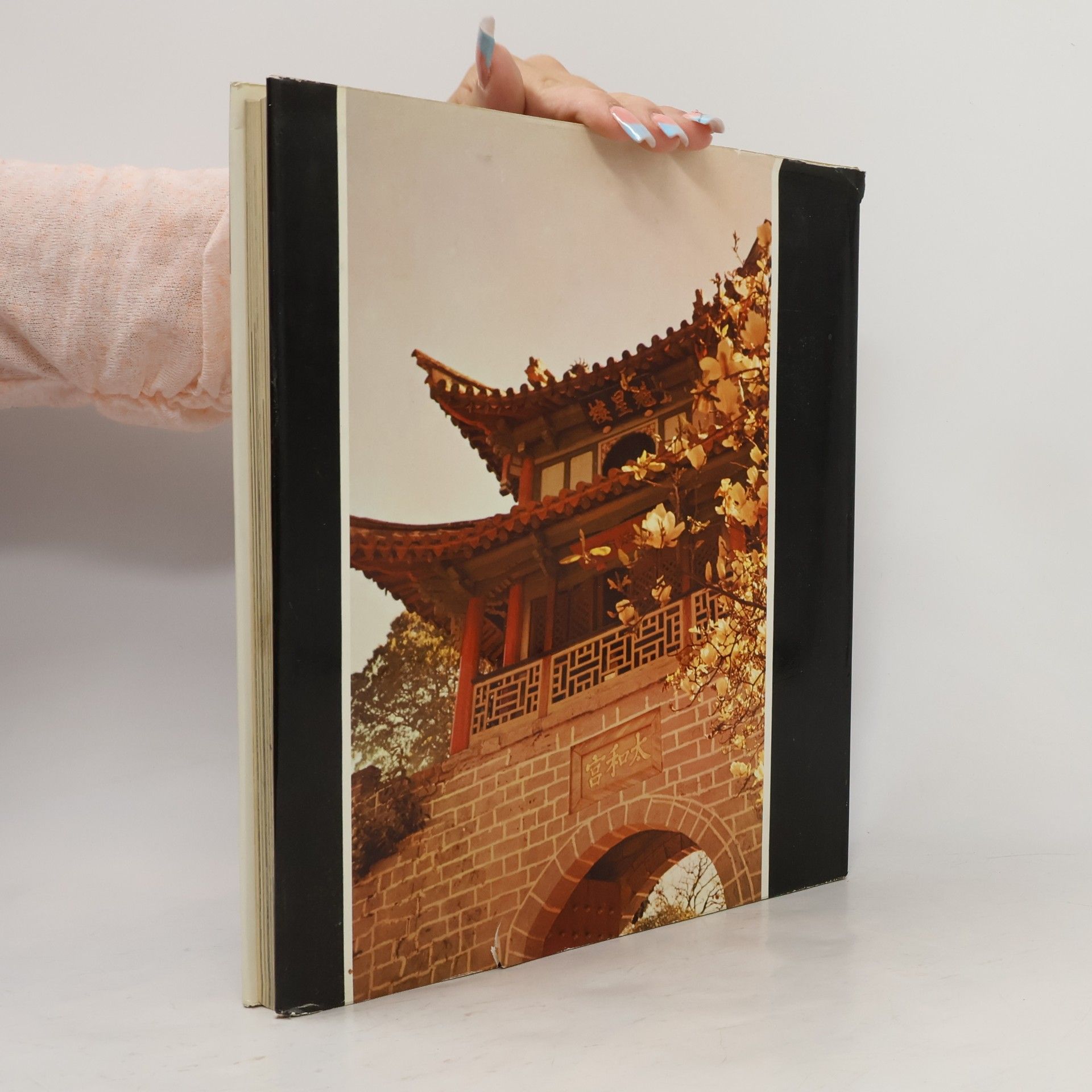 W. Forman Die Reisen des Marco Polo