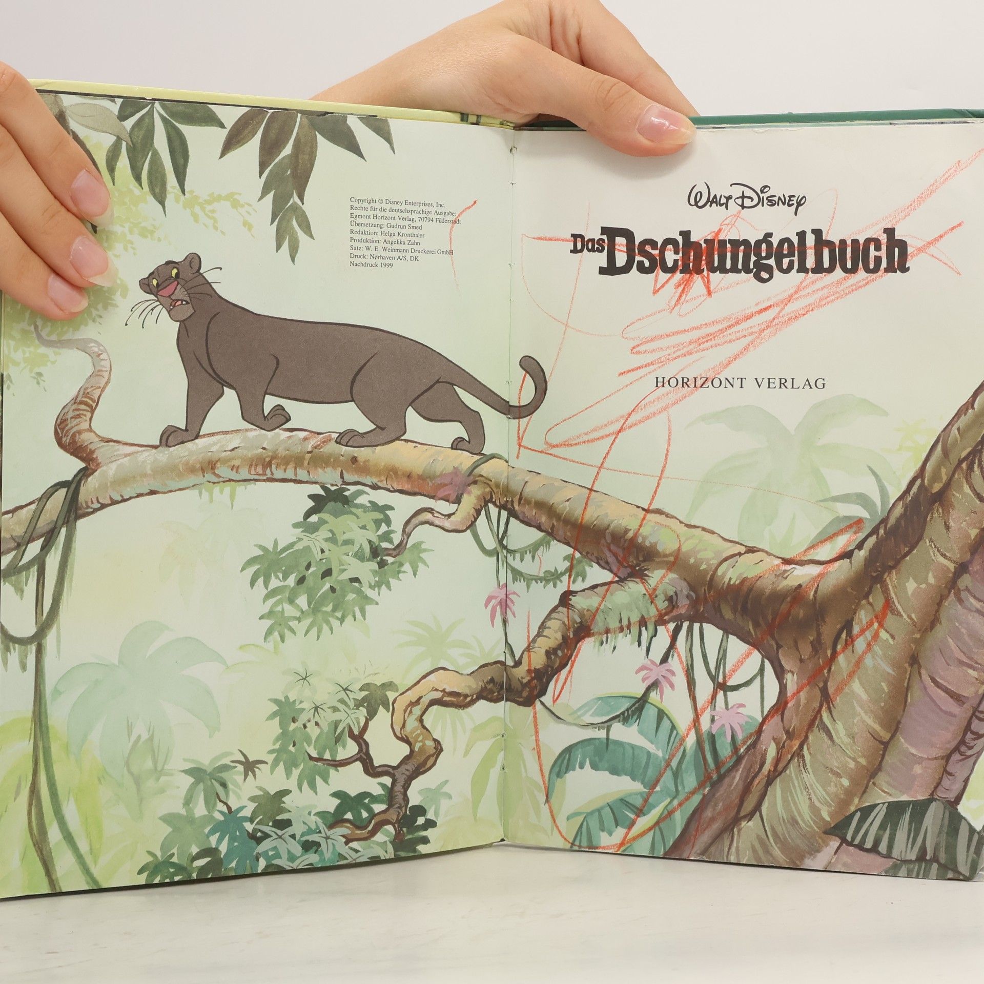 Walt Disney Das Dschungelbuch