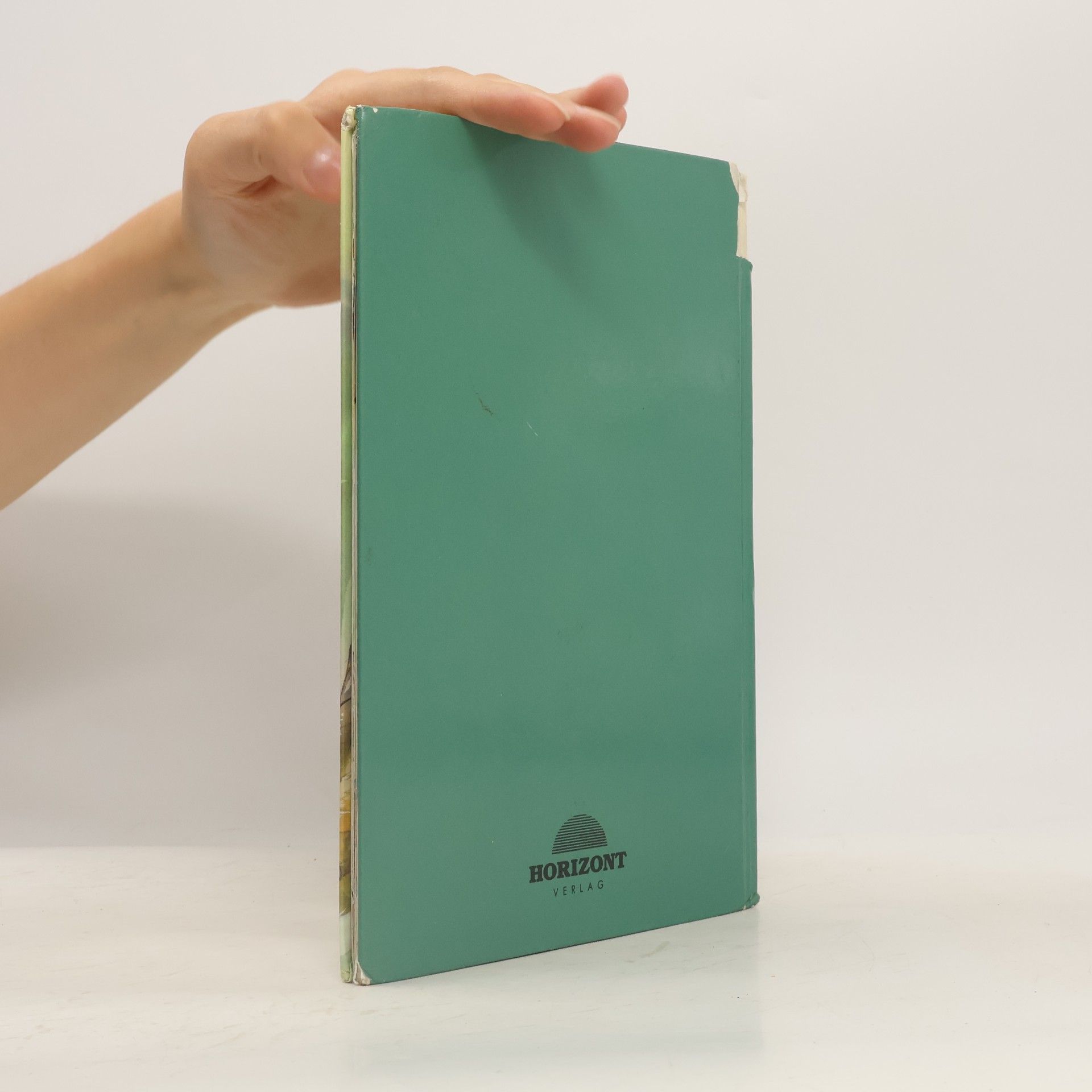 Walt Disney Das Dschungelbuch