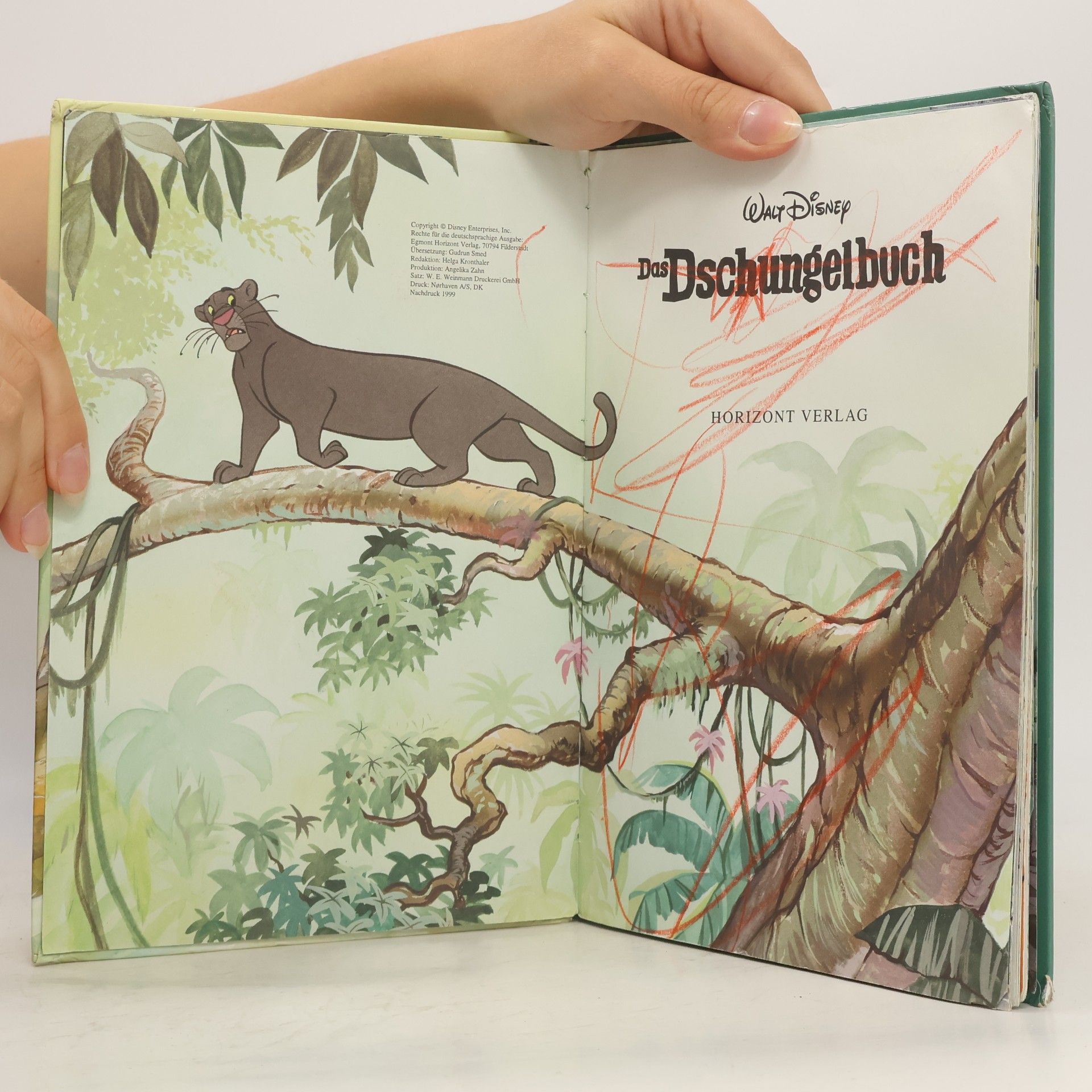 Walt Disney Das Dschungelbuch