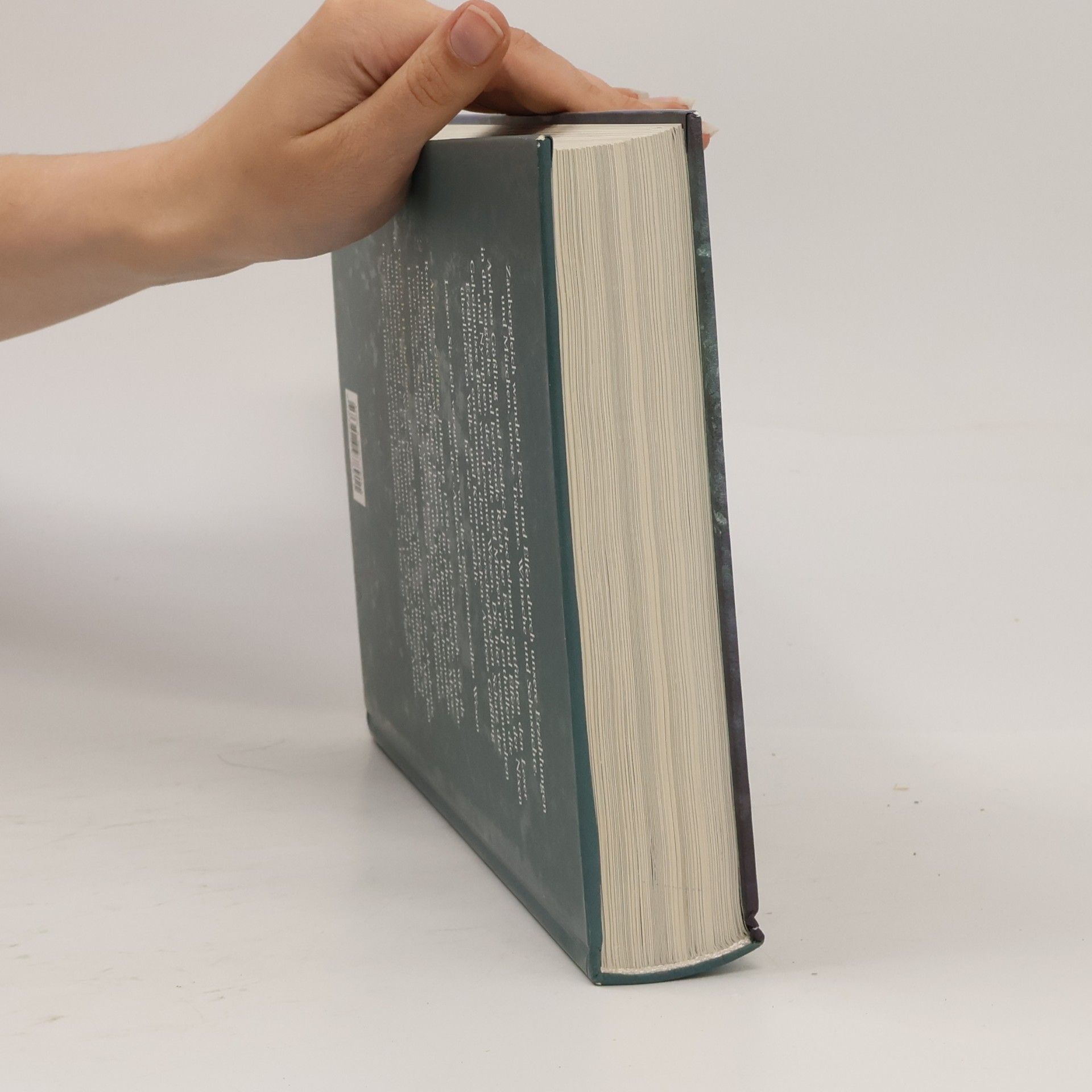 Andreas Gössling Das große Buch der Feen und Elfen