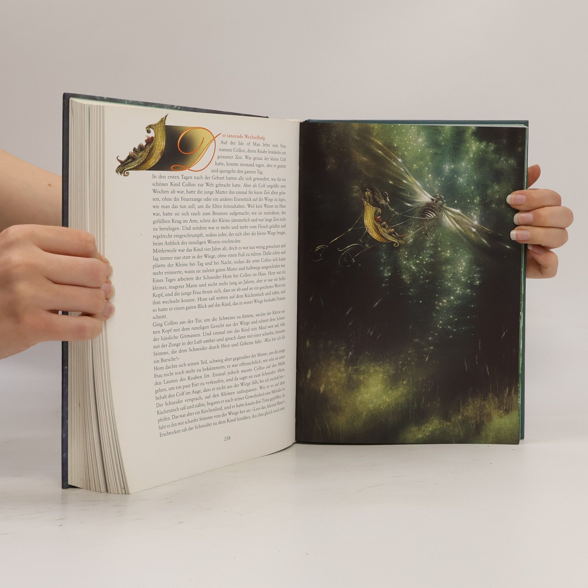 Andreas Gössling Das große Buch der Feen und Elfen
