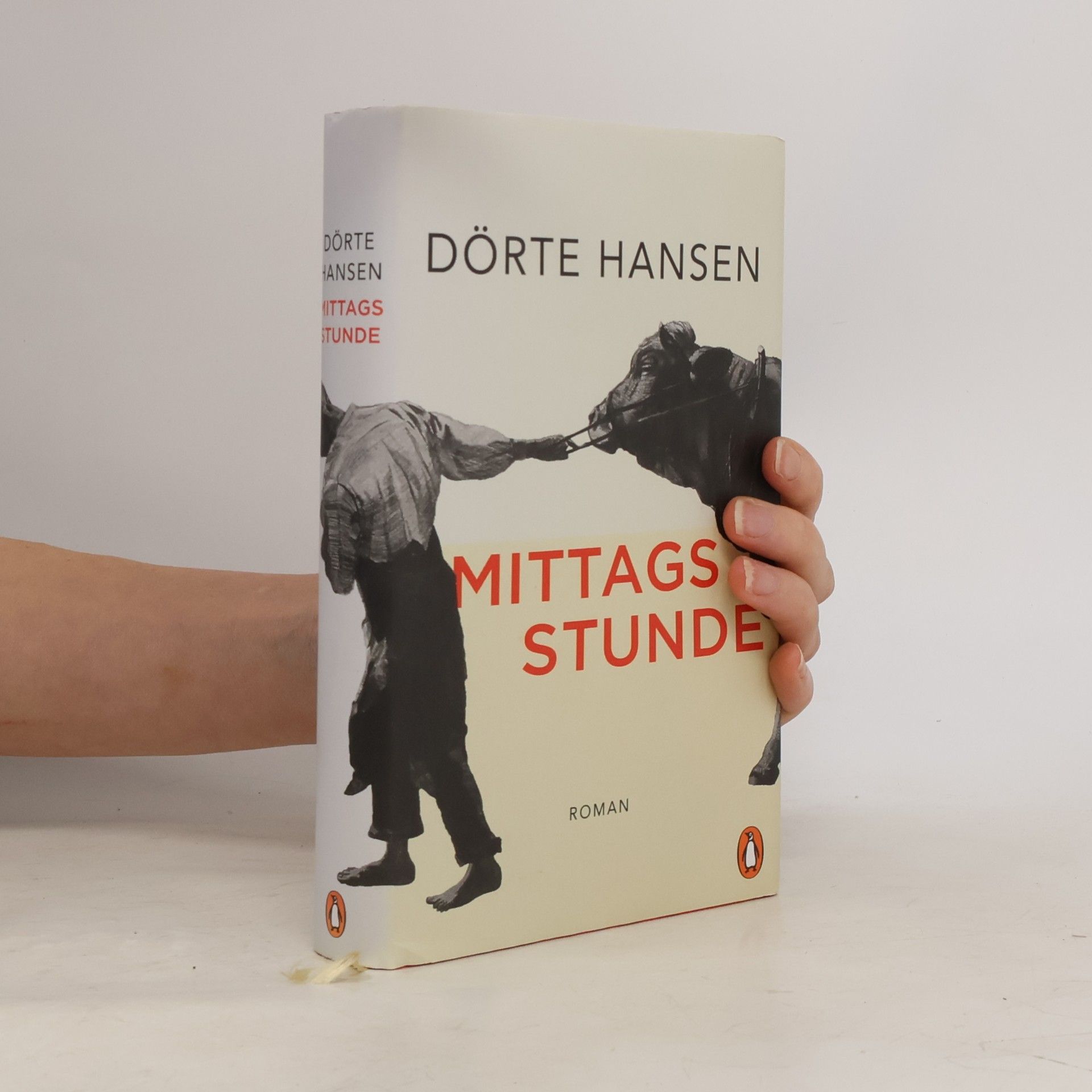 Dörte Hansen Mittagsstunde