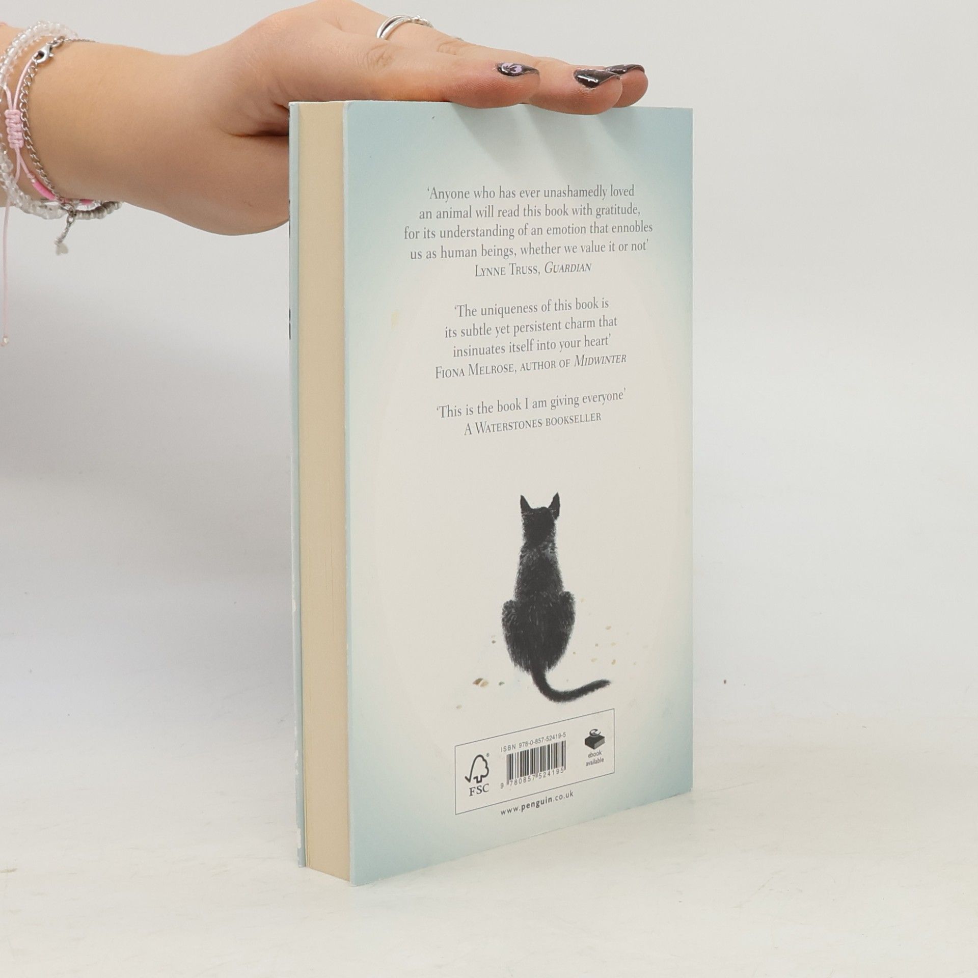 Hiro Arikawa The travelling cat chronicles