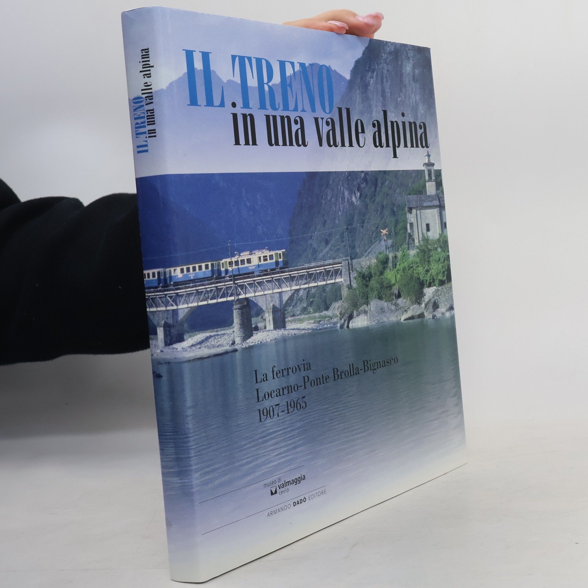 Bruno Donati Il treno in una valle alpina