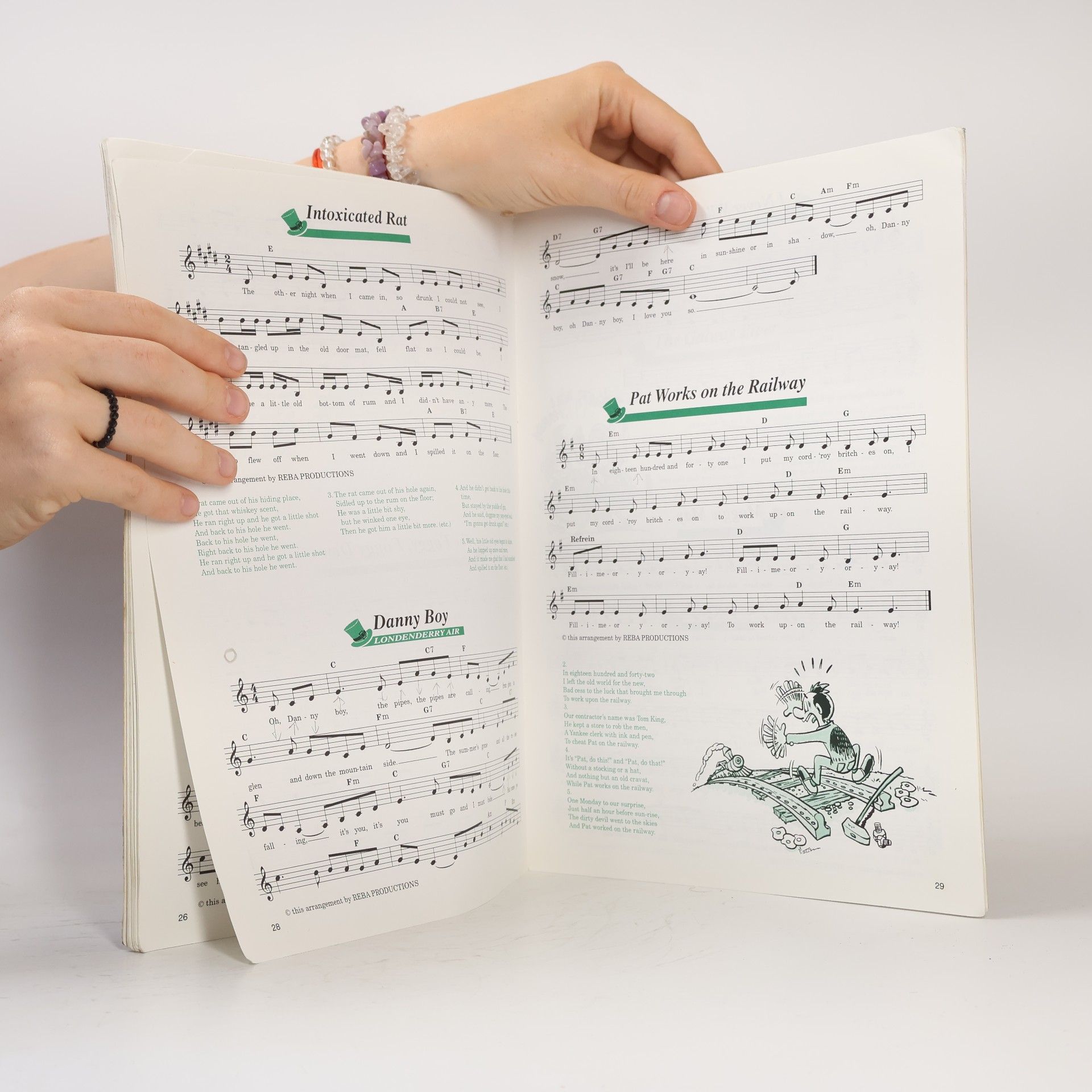 Frank Rich Irish Traditionals & Pub Songs