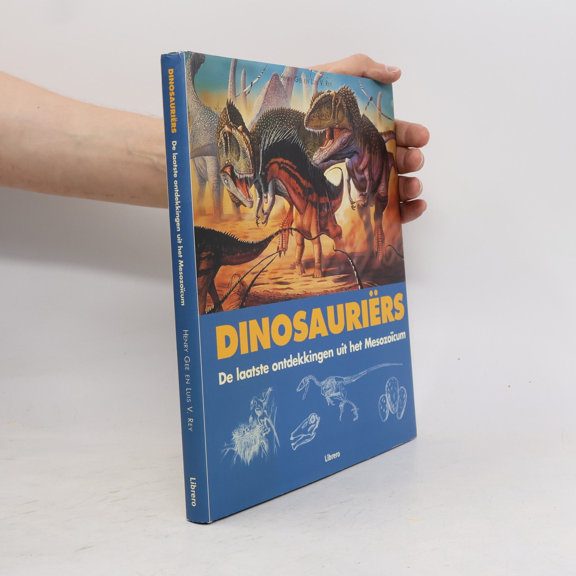 Hidde Bouman Dinosauriërs