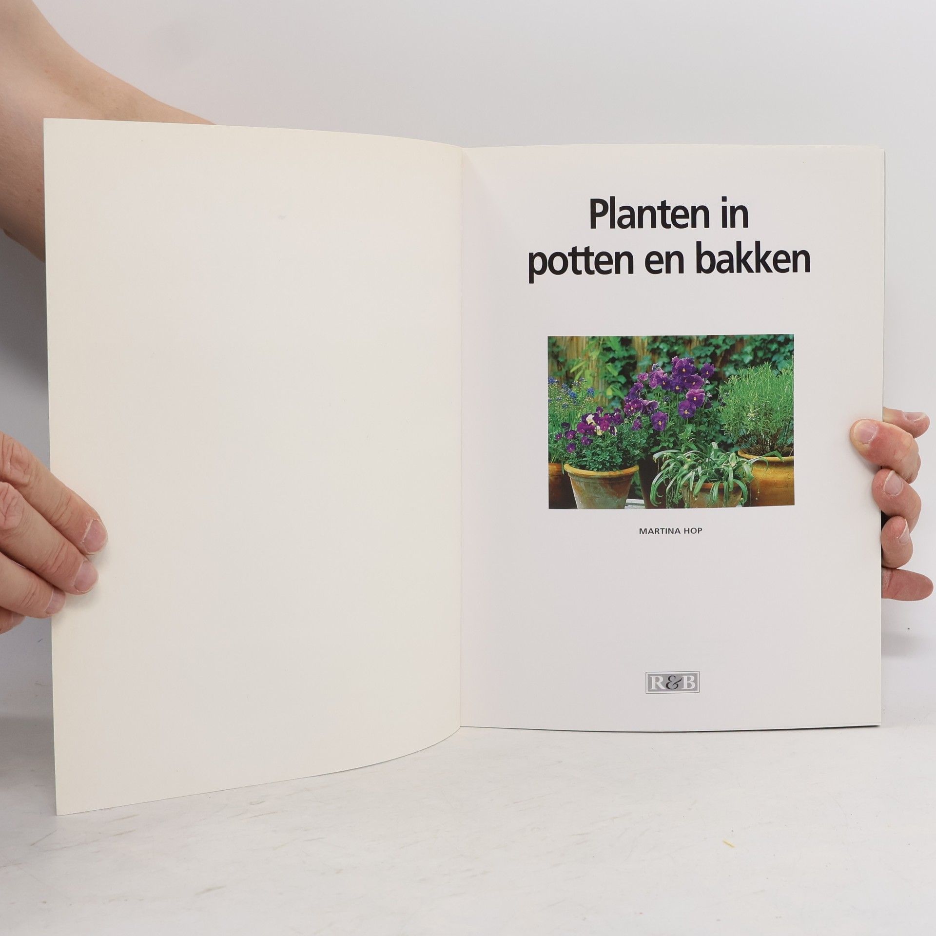 Martina Hop Planten in potten en bakken