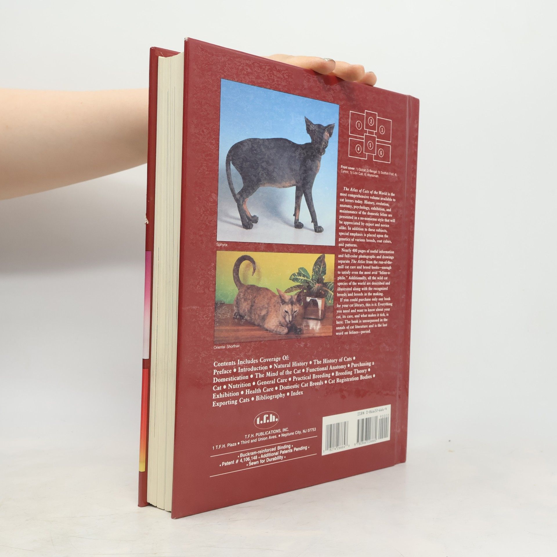Dennis Kelsey-Wood The Atlas of Cats of the World