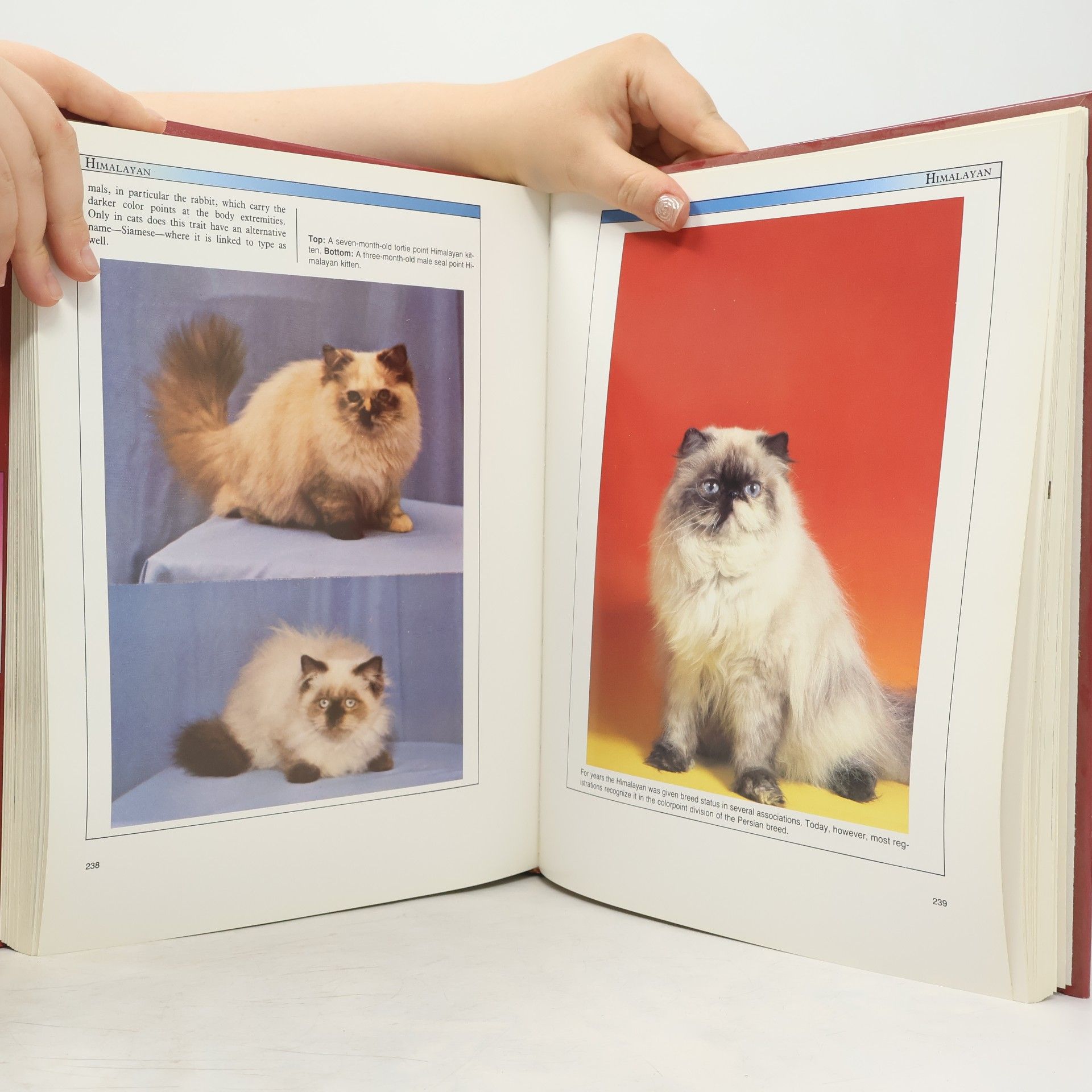 Dennis Kelsey-Wood The Atlas of Cats of the World