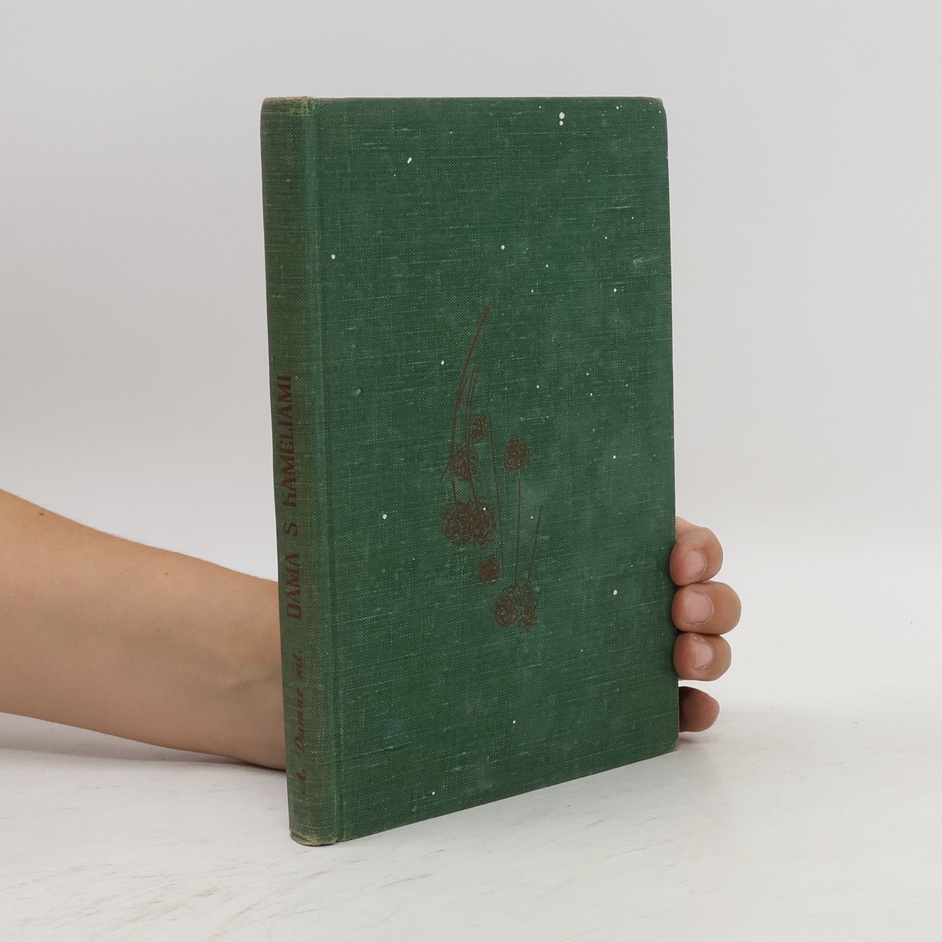 Alexandre Dumas fils Dáma s kaméliami