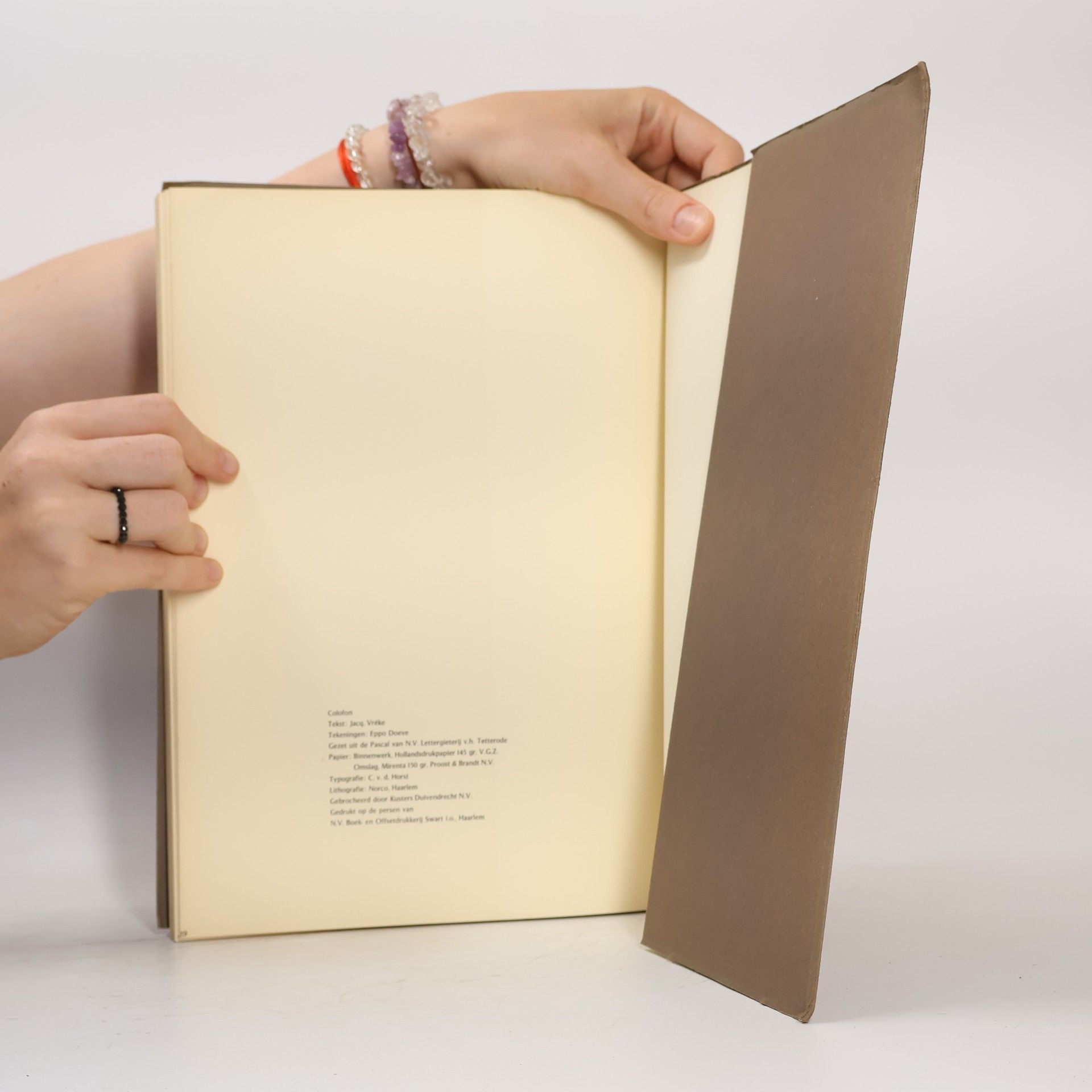 Autores varios De vliegende hollander