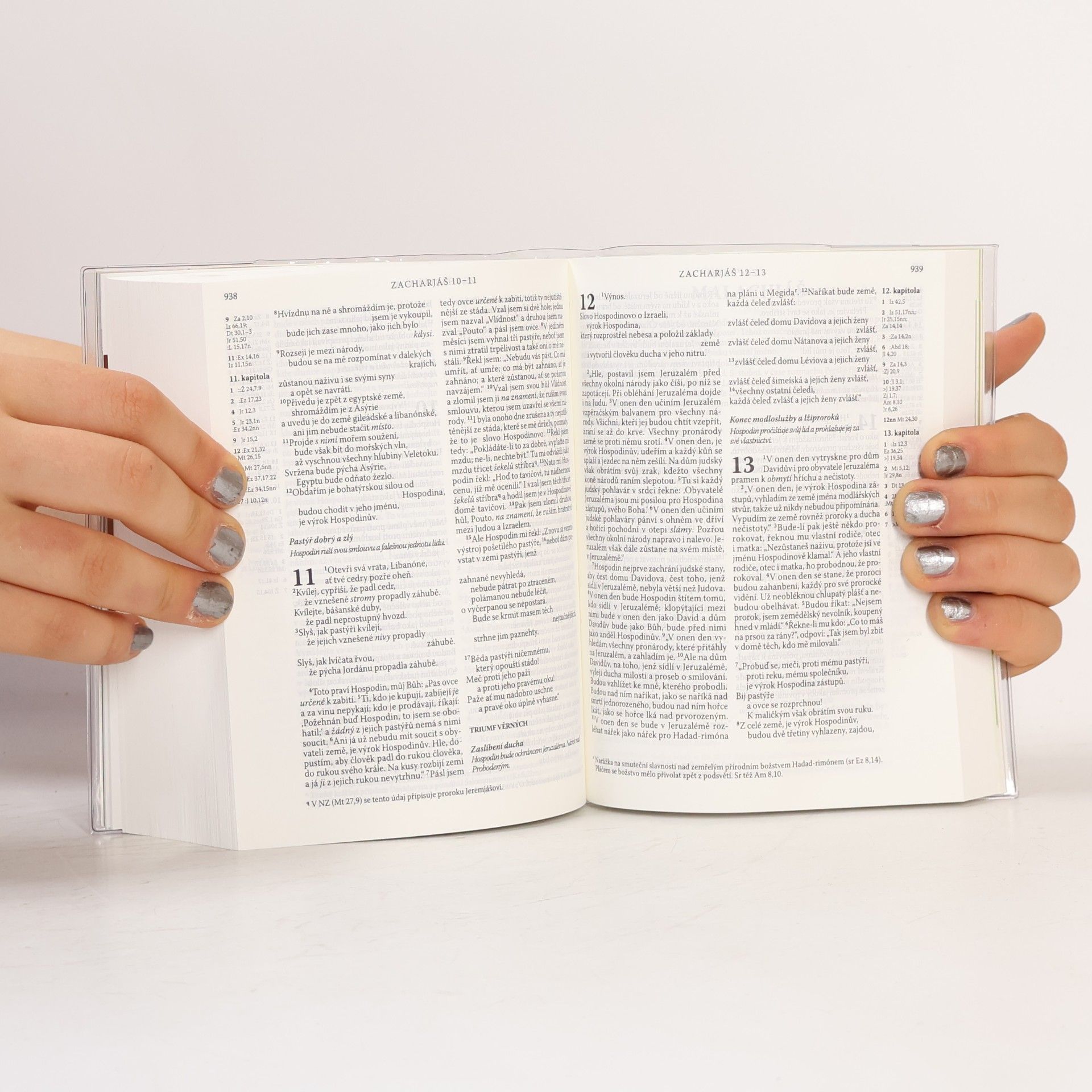 Kolektiv autorů Bible pro mladé