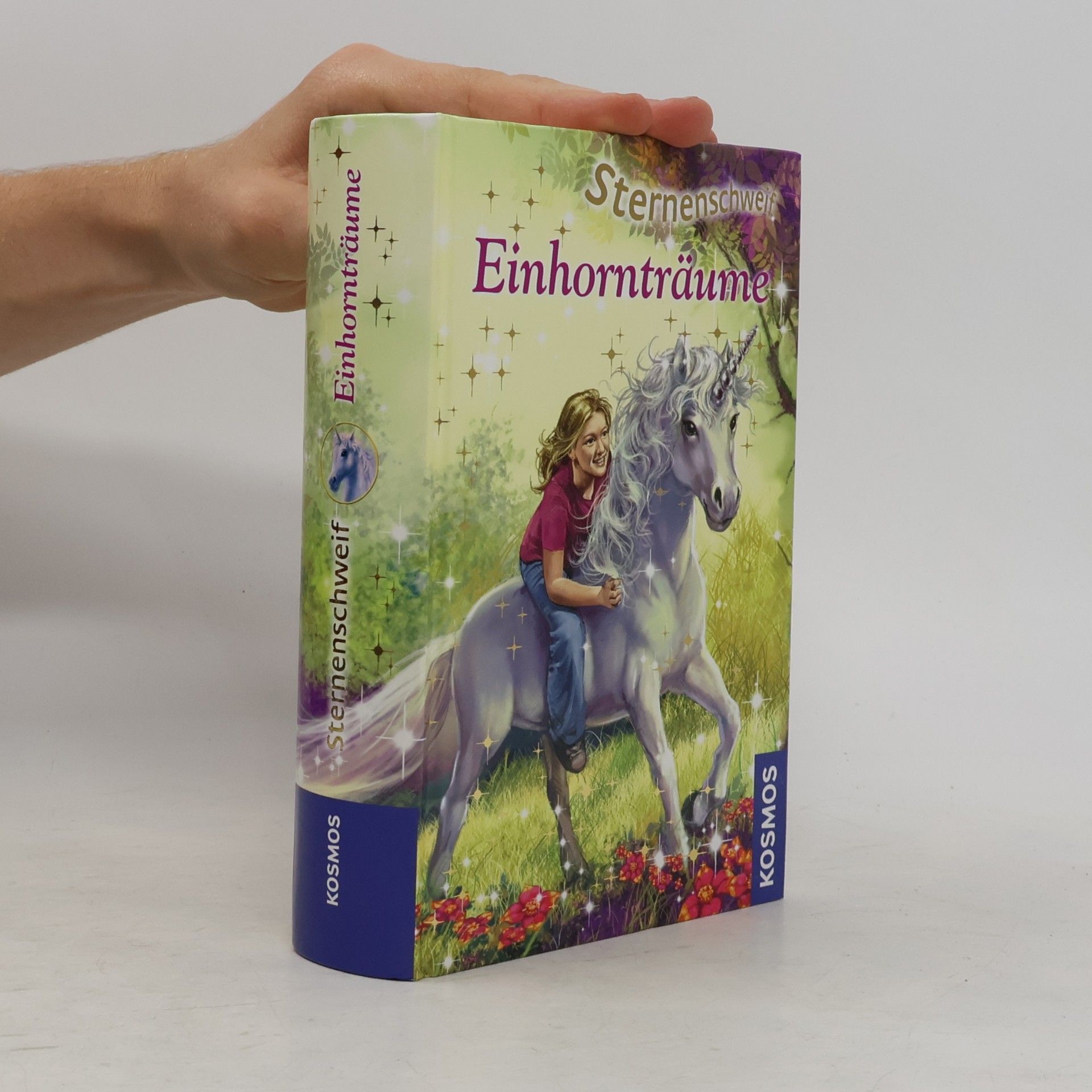 Linda Champan Sternenschweif - Einhornträume