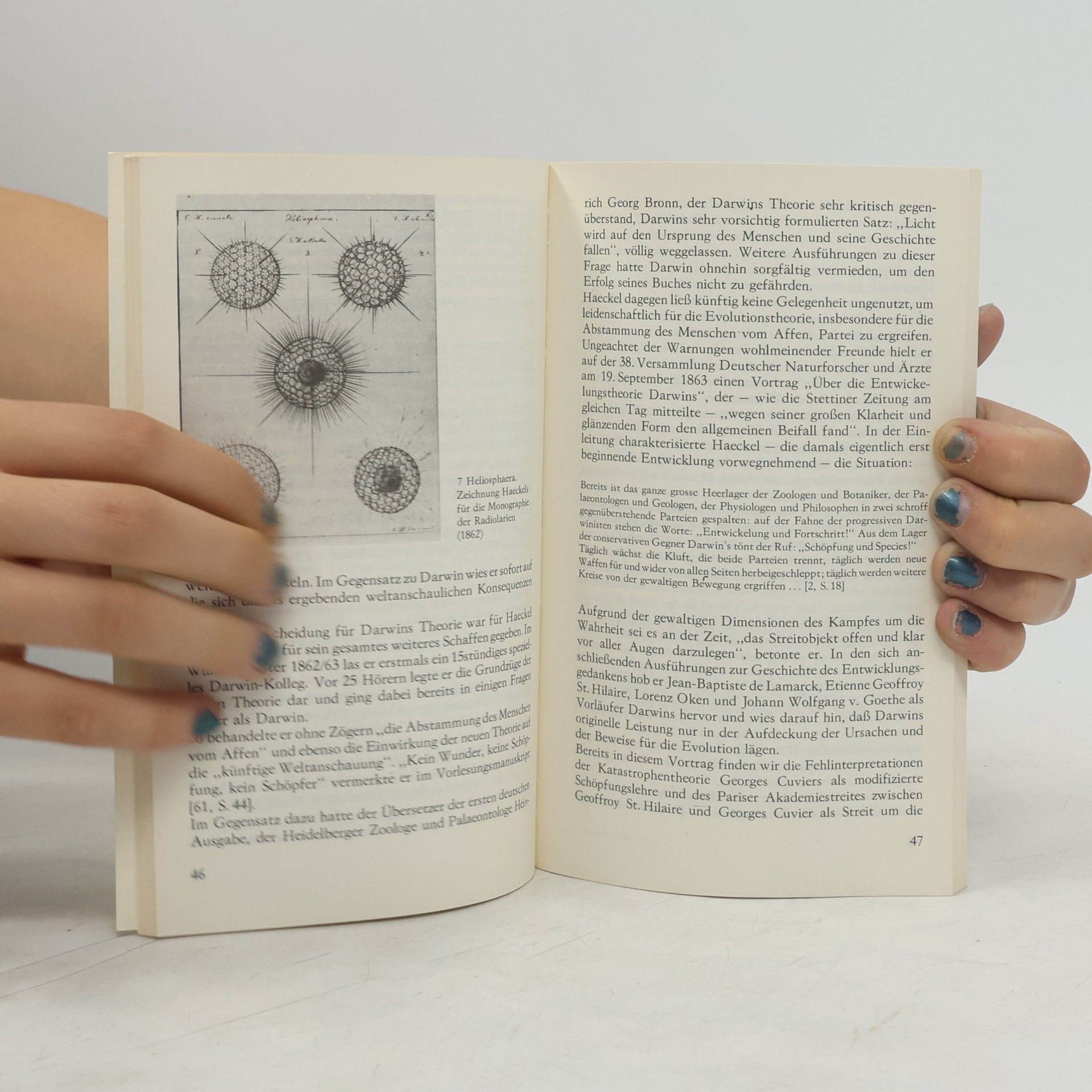 Erika Krauße Biographien hervorragender Naturwissenschaftler, Techniker und Mediziner - 70: Ernst Haeckel