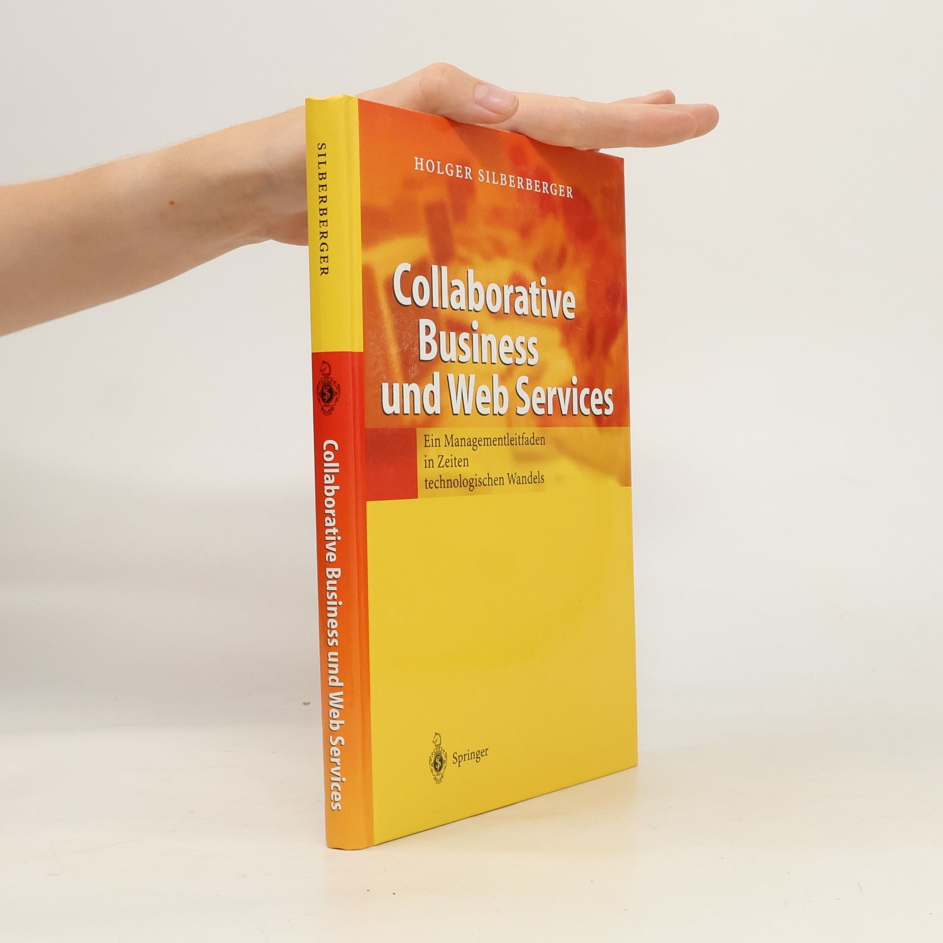 Holger Silberberger Collaborative Business und Web Services