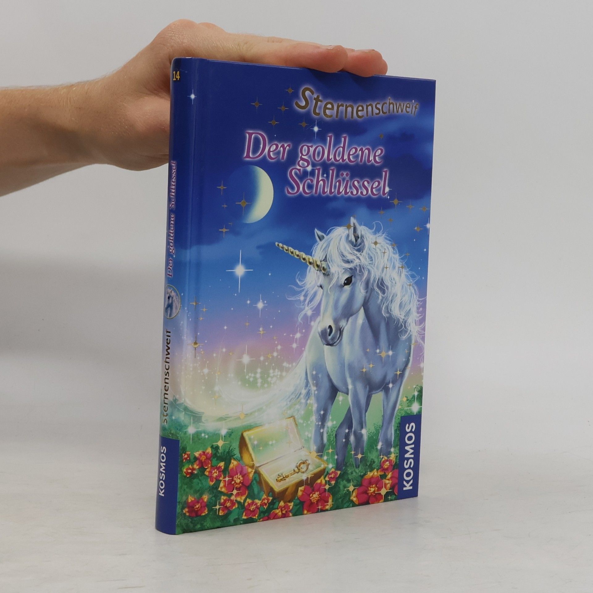Linda Champan Sternenschweif. Der goldene Schlüssel 14