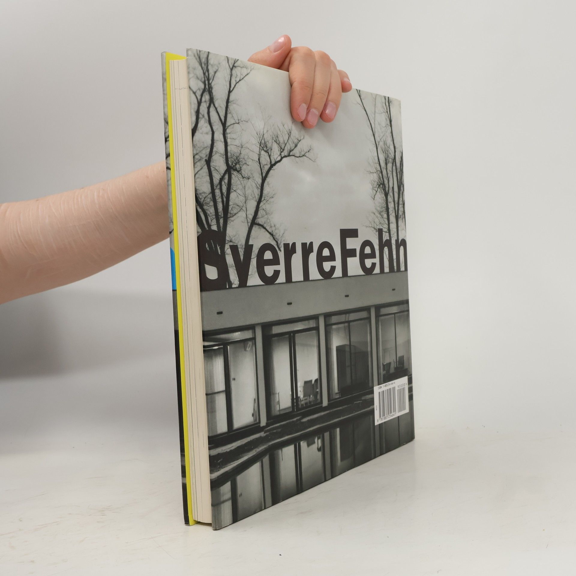 Christian Norberg-Schulz Sverre Fehn