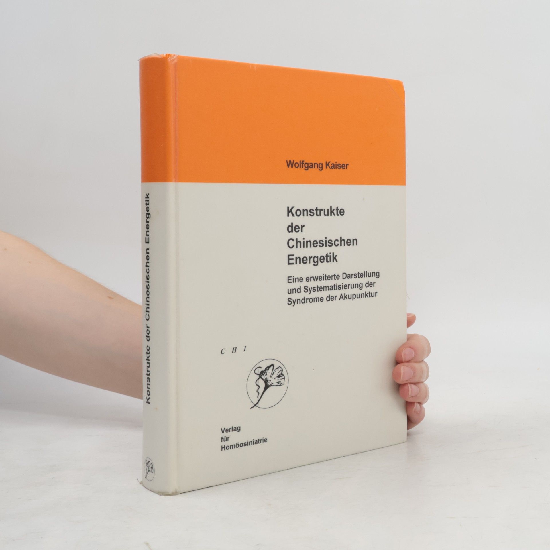 Konstrukte der Chinesischen Energetik
