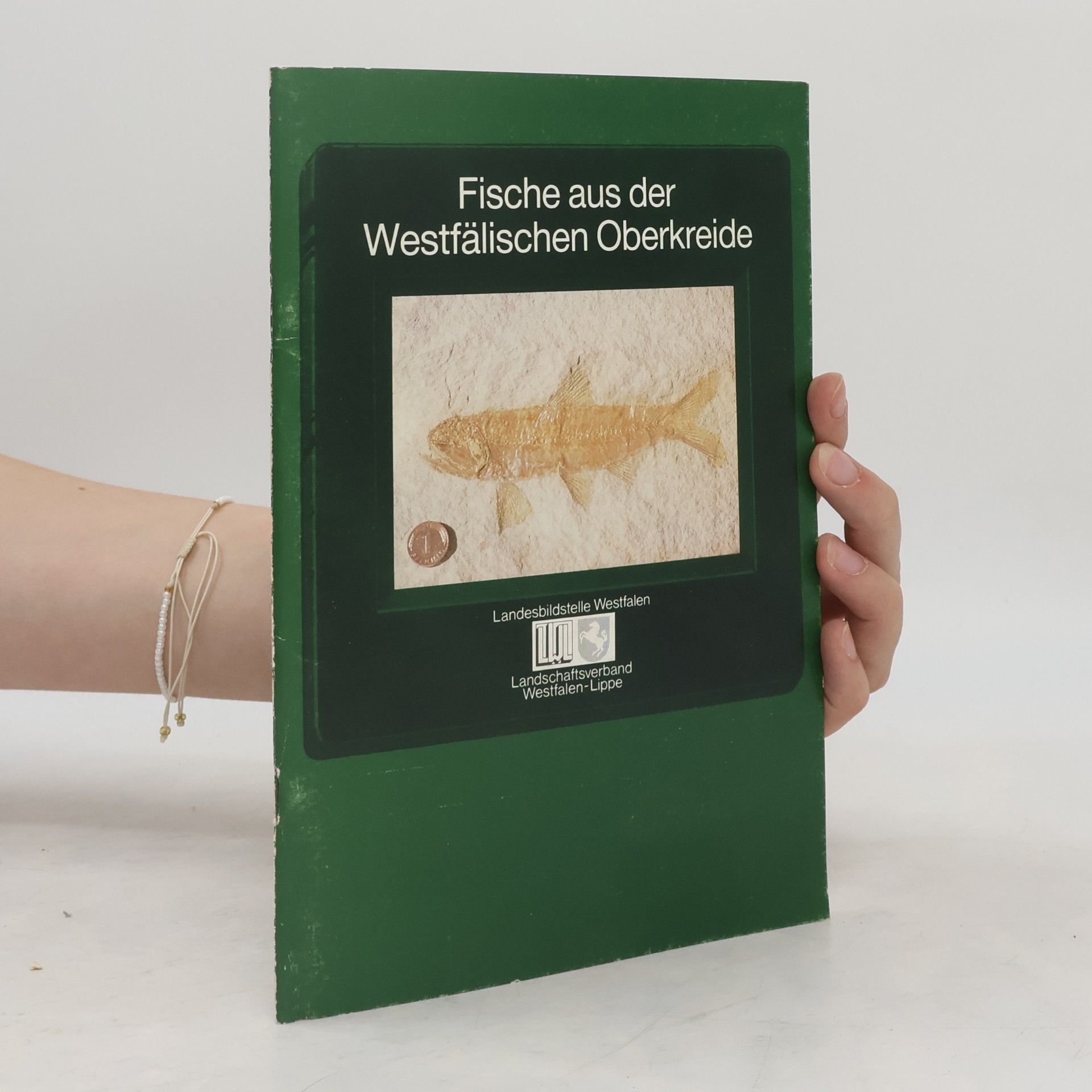 Autorenkollektiv Fische aus der Westfälischen Oberkreide
