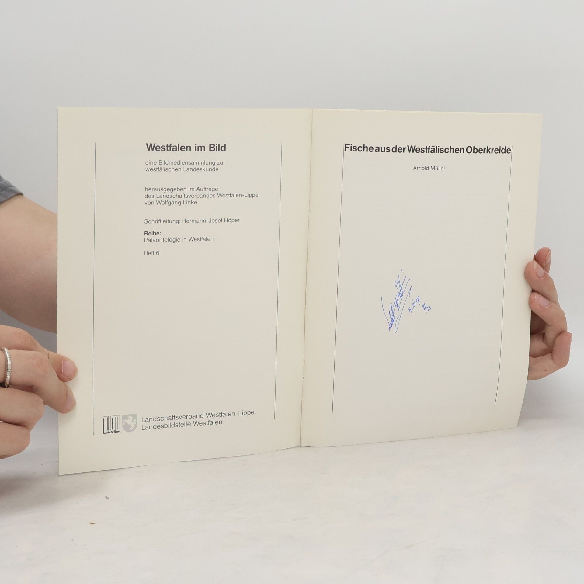 Autorenkollektiv Fische aus der Westfälischen Oberkreide