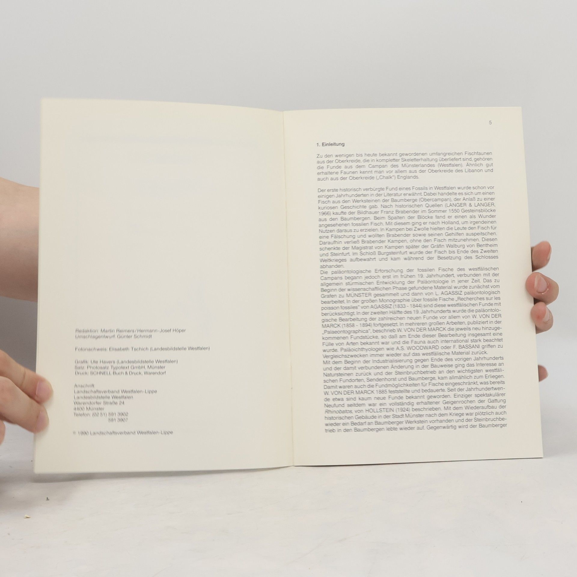 Autorenkollektiv Fische aus der Westfälischen Oberkreide