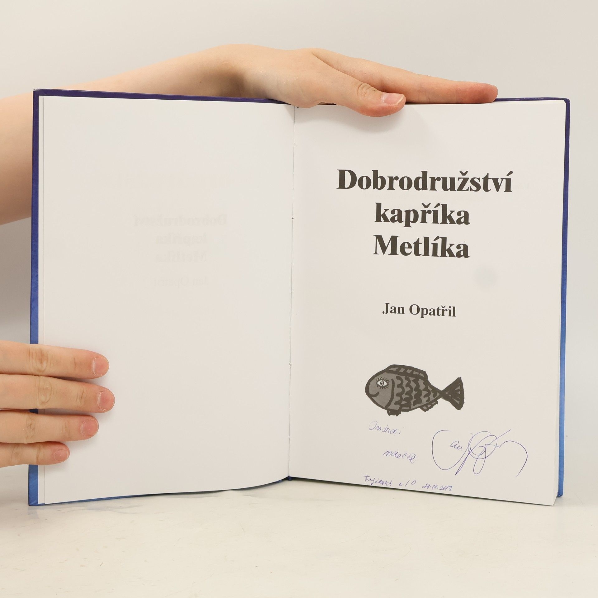 Jan Opatřil Dobrodružství kapříka Metlíka