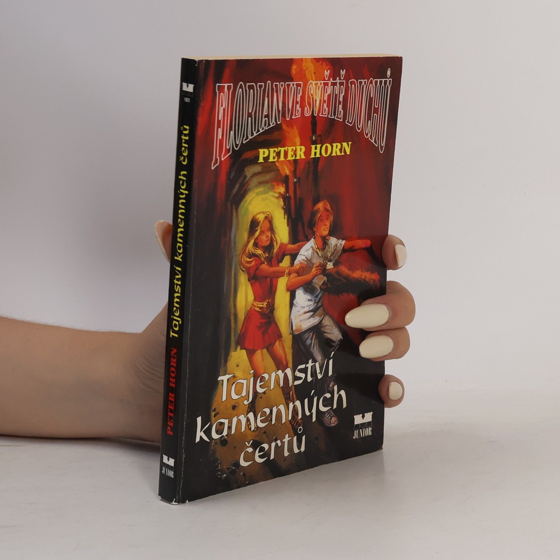 Klaus-Peter Horn Florian ve světě duchů: Tajemství kamenných čertů
