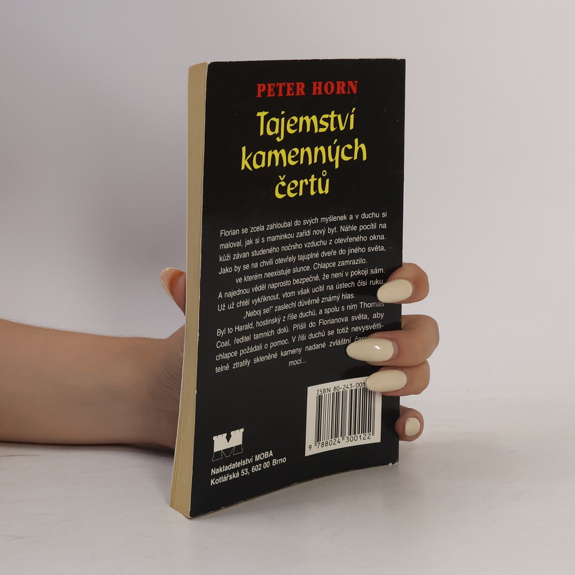 František Ryčl Florian ve světě duchů: Tajemství kamenných čertů