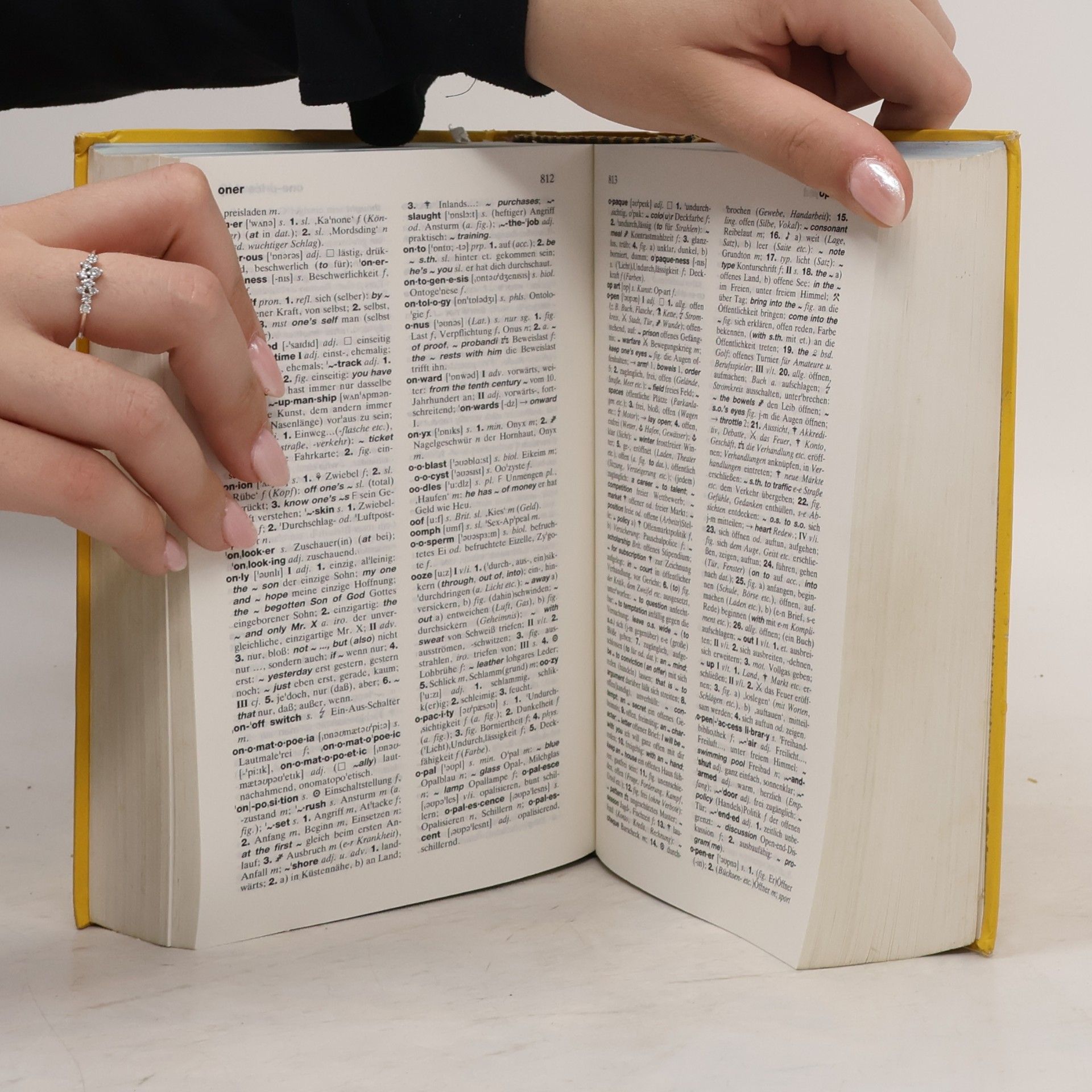 Heinz Messinger Langenscheidts großes Schulwörterbuch Englisch-Deutsch