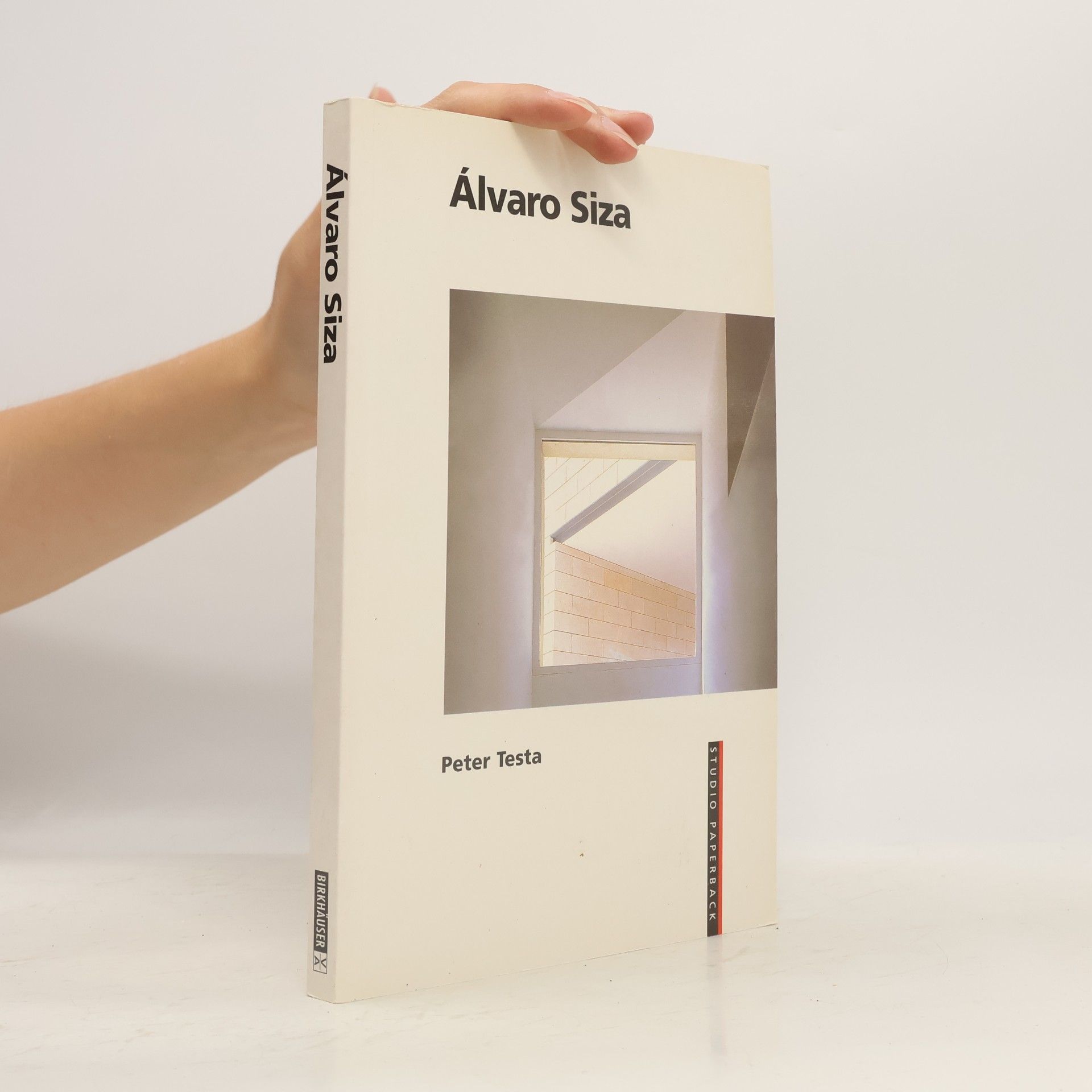 Peter Testa Álvaro Siza