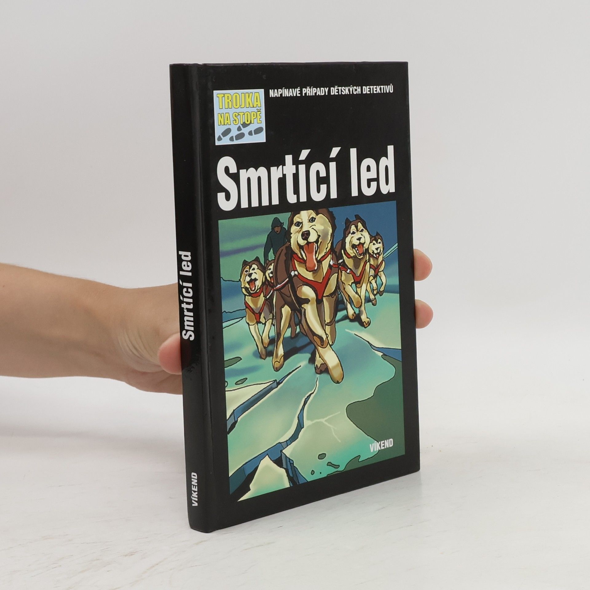 Kari Erlhoff Smrtící led