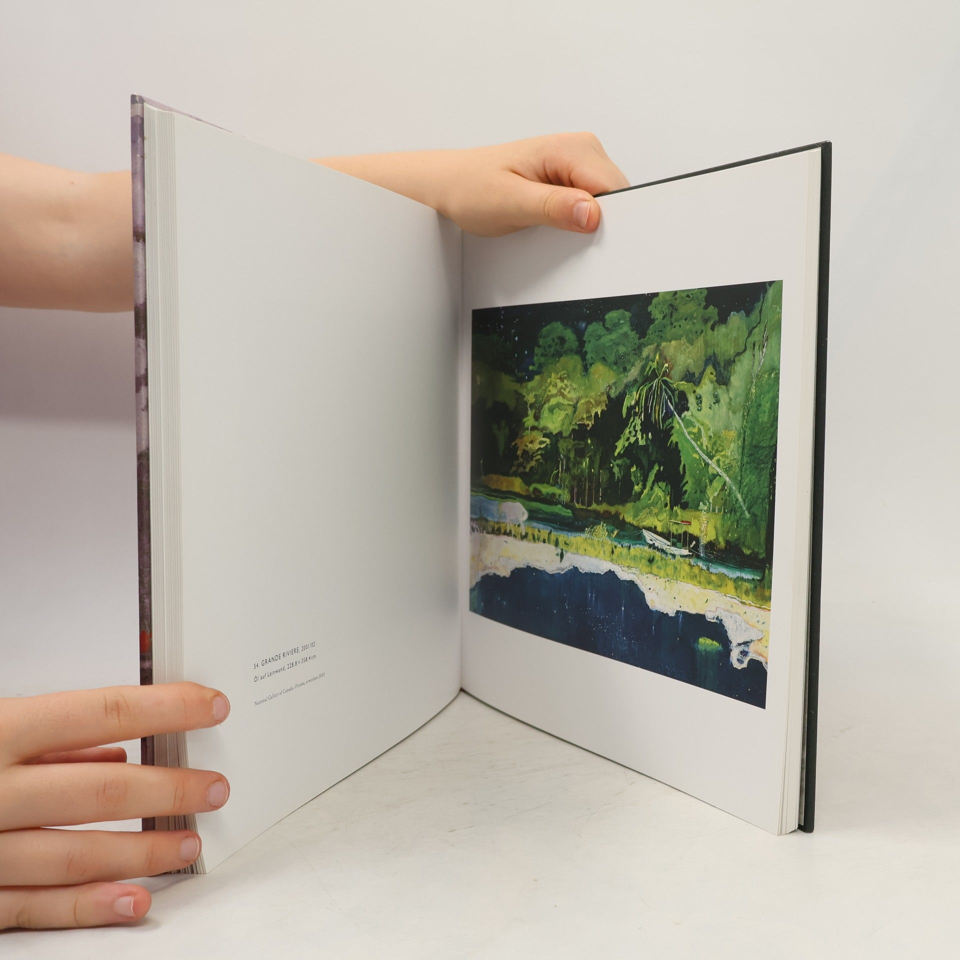 Peter Doig Peter Doig
