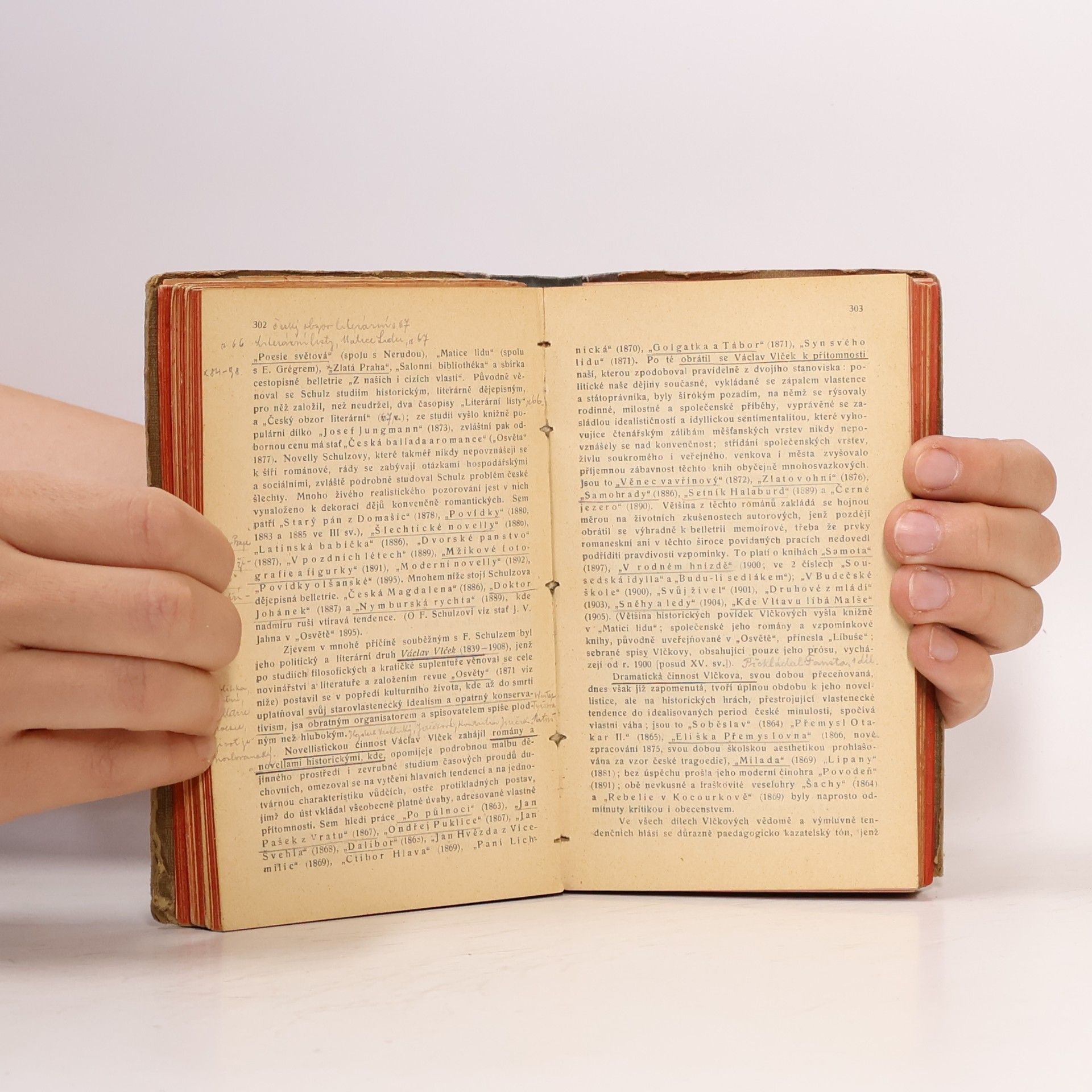 Jan V. Novák Stručné dějiny literatury české